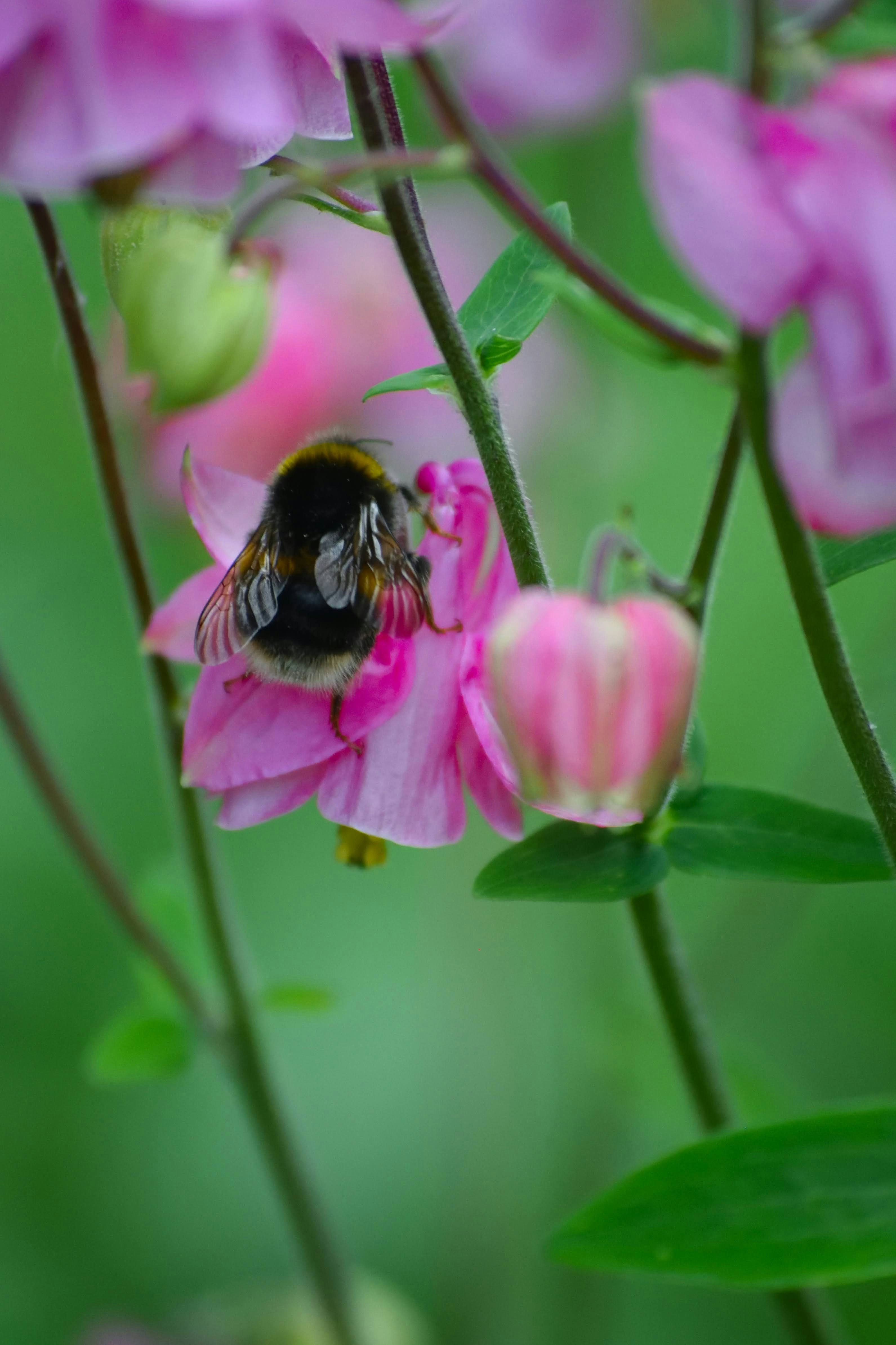 Photo by tobyjay2010