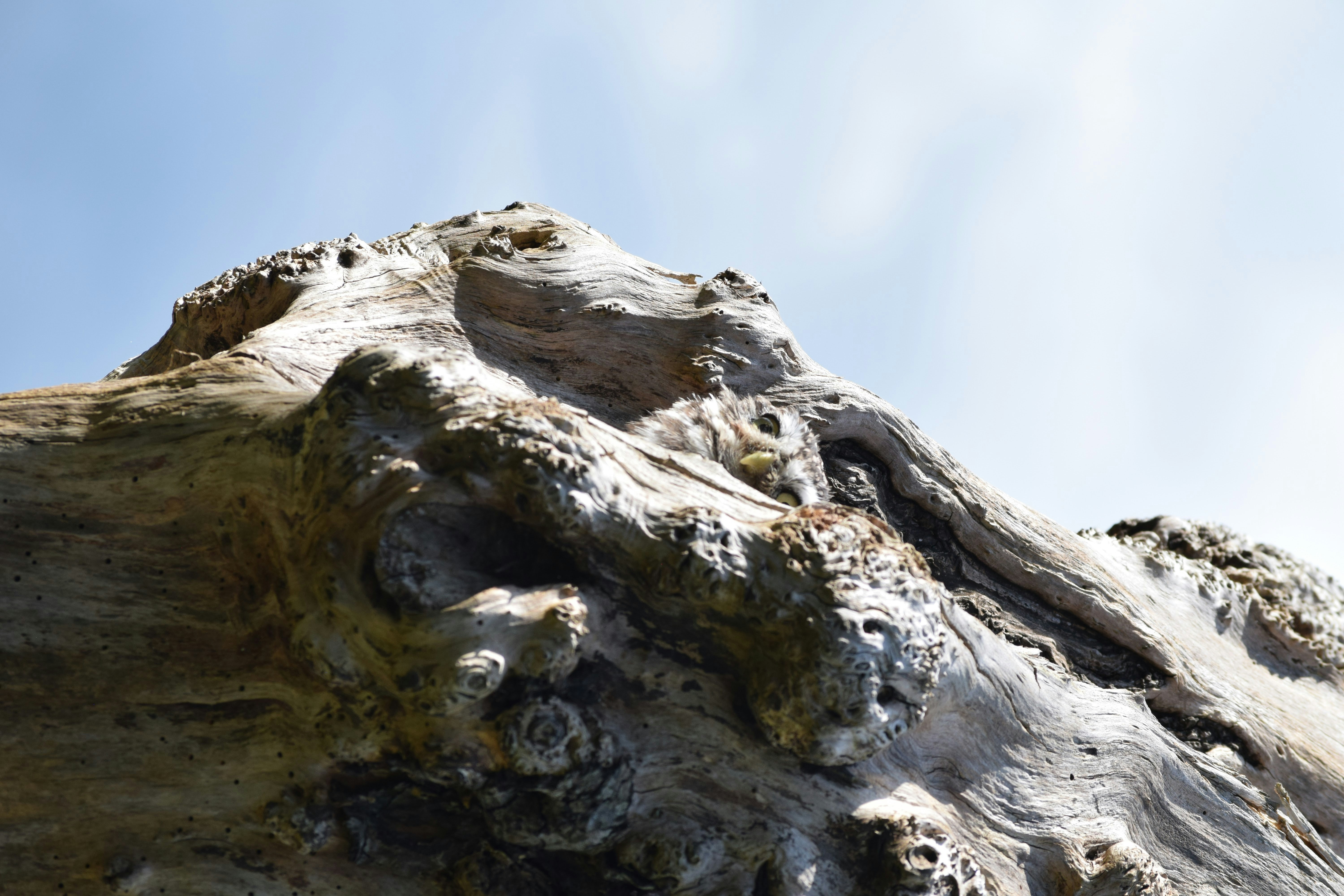 Photo by tobyjay2010