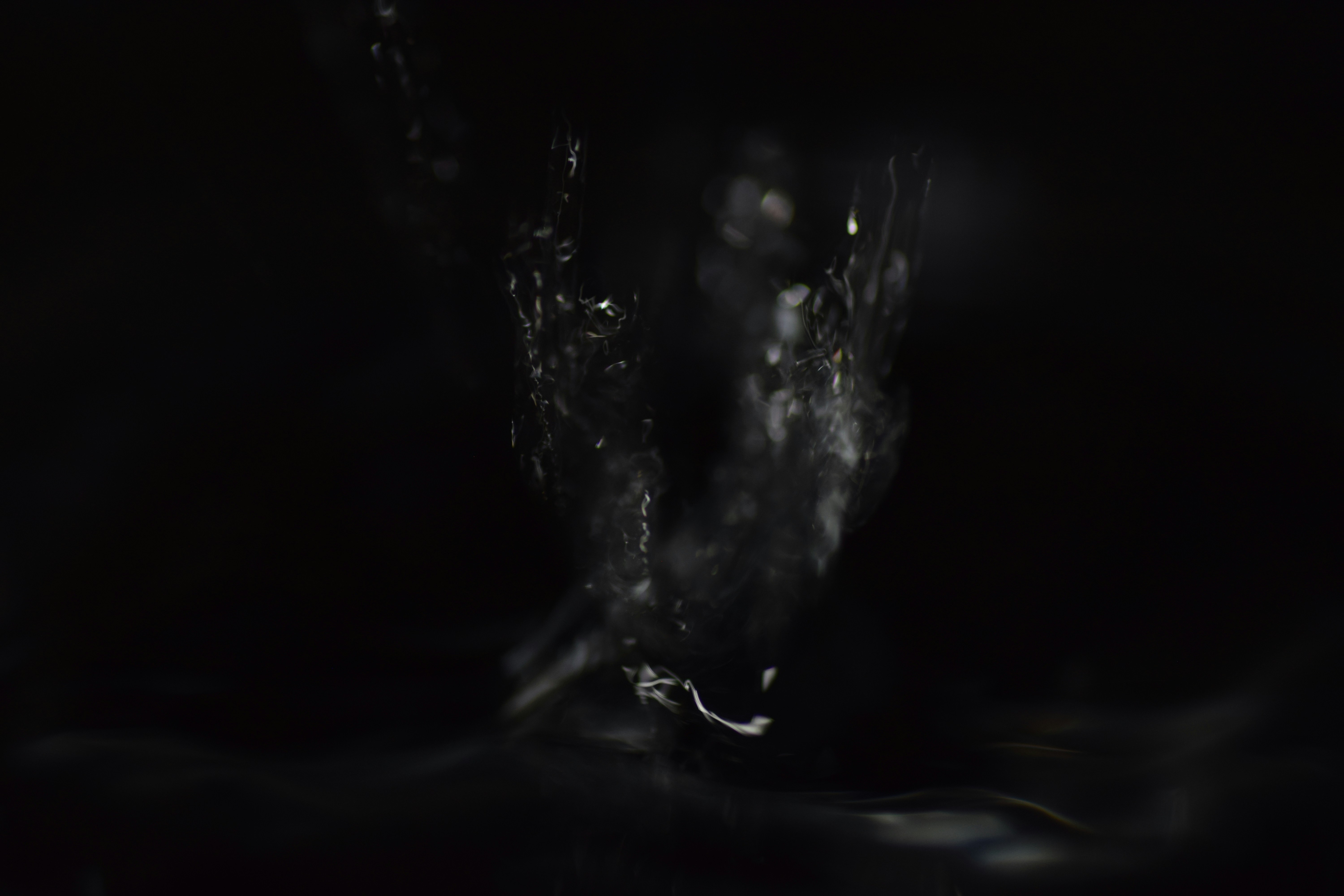 Photo by tobyjay2010