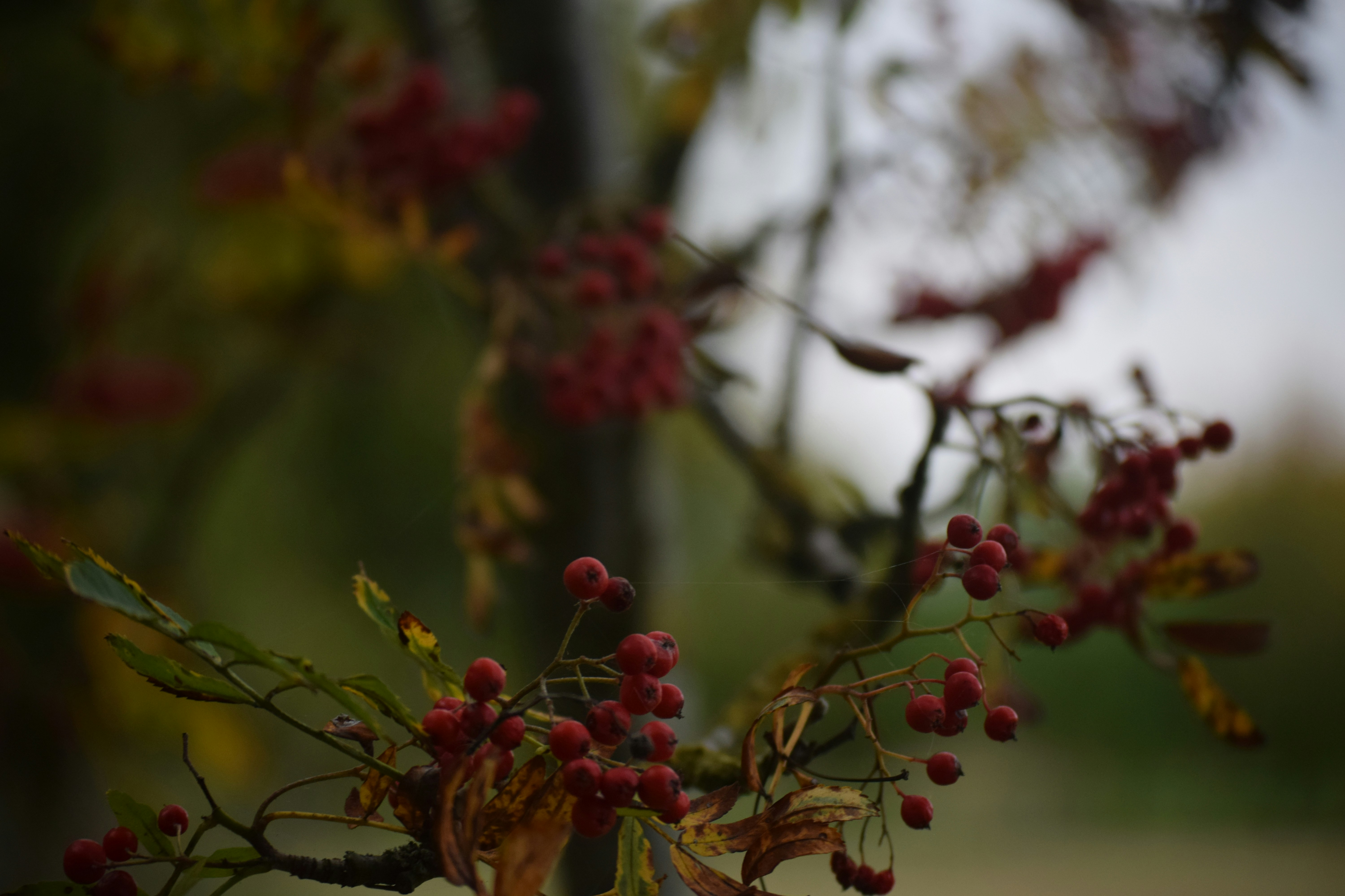 Photo by tobyjay2010