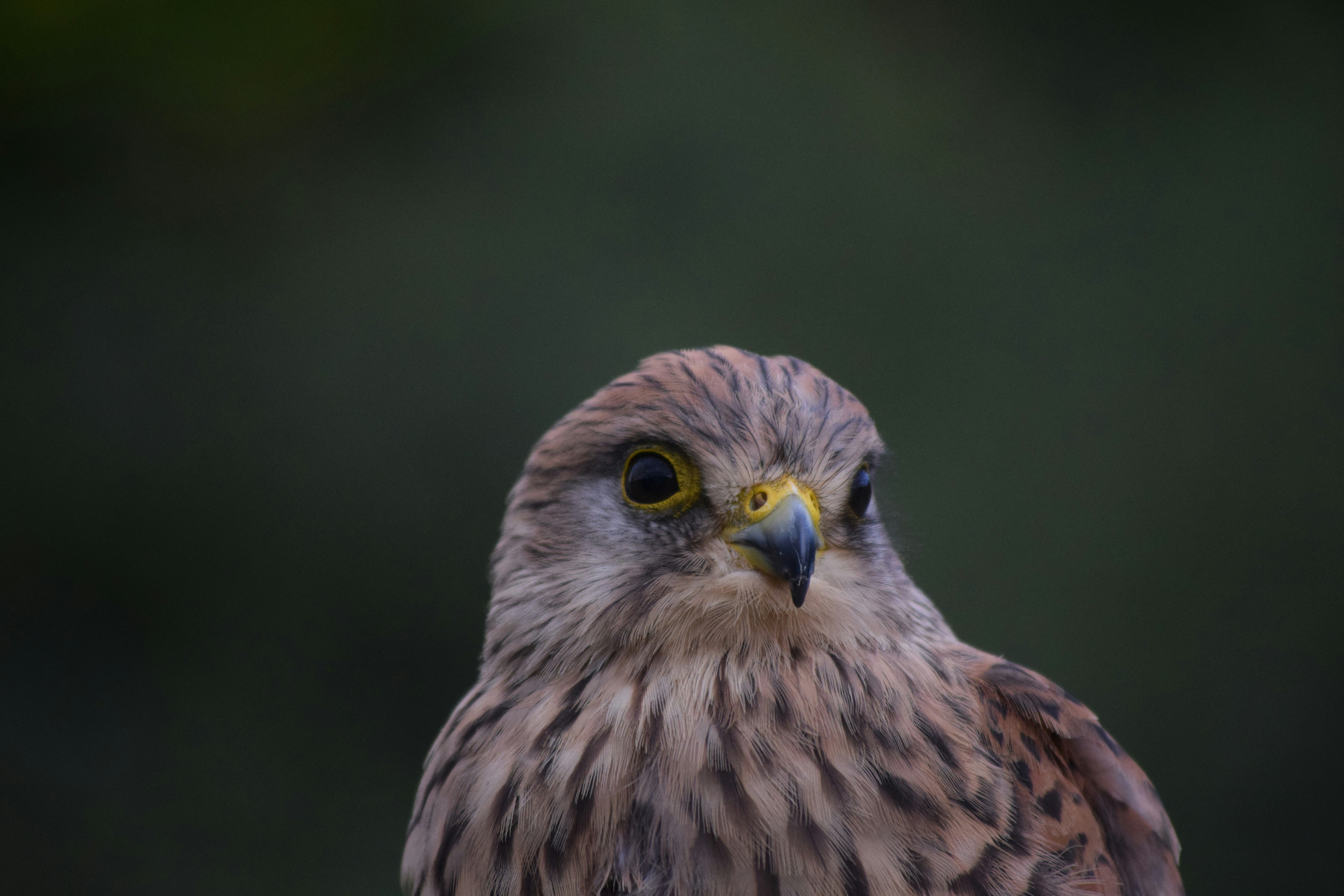 Featured image of post posthog