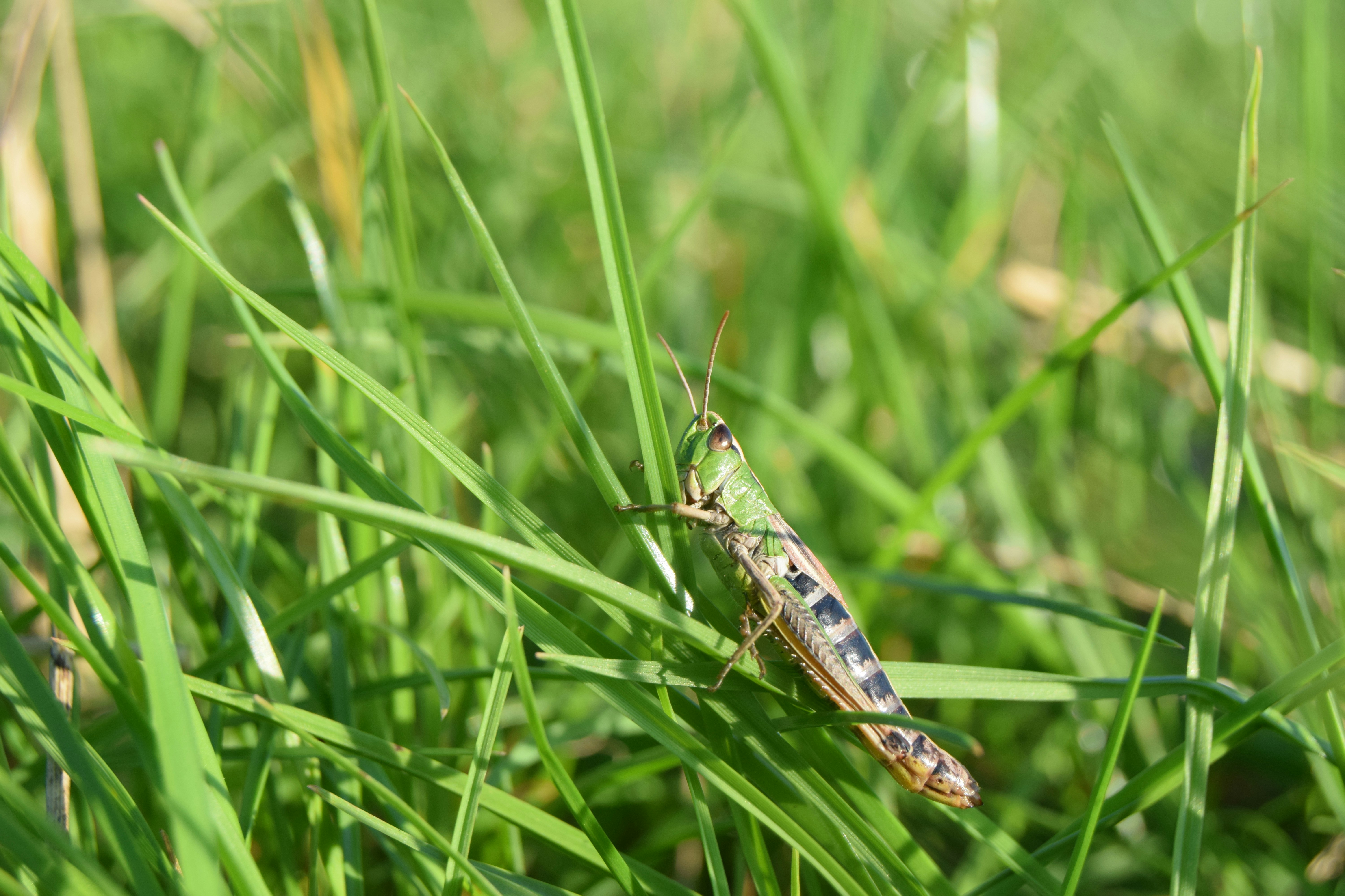 Photo by tobyjay2010