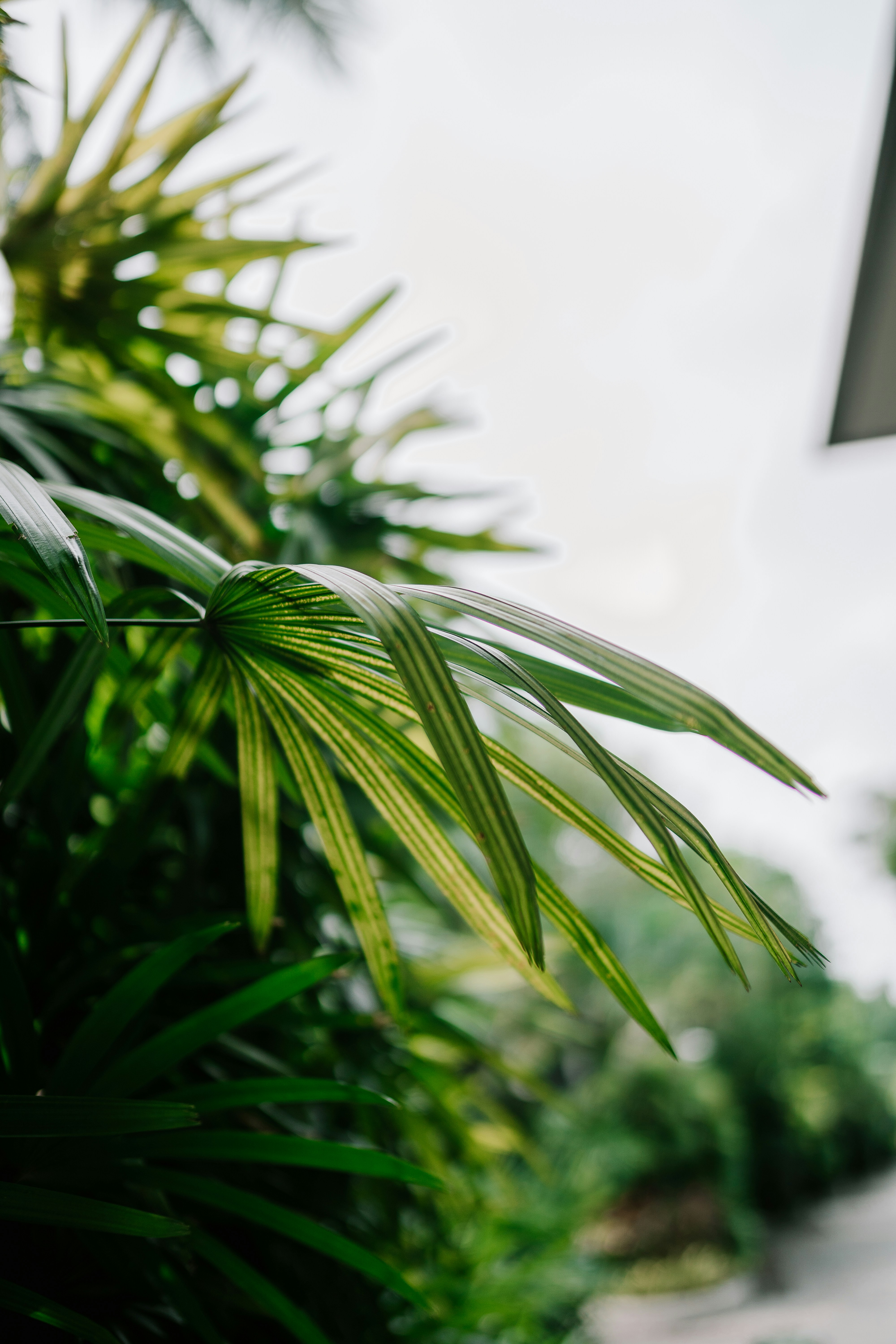 Photo by spensersembrat