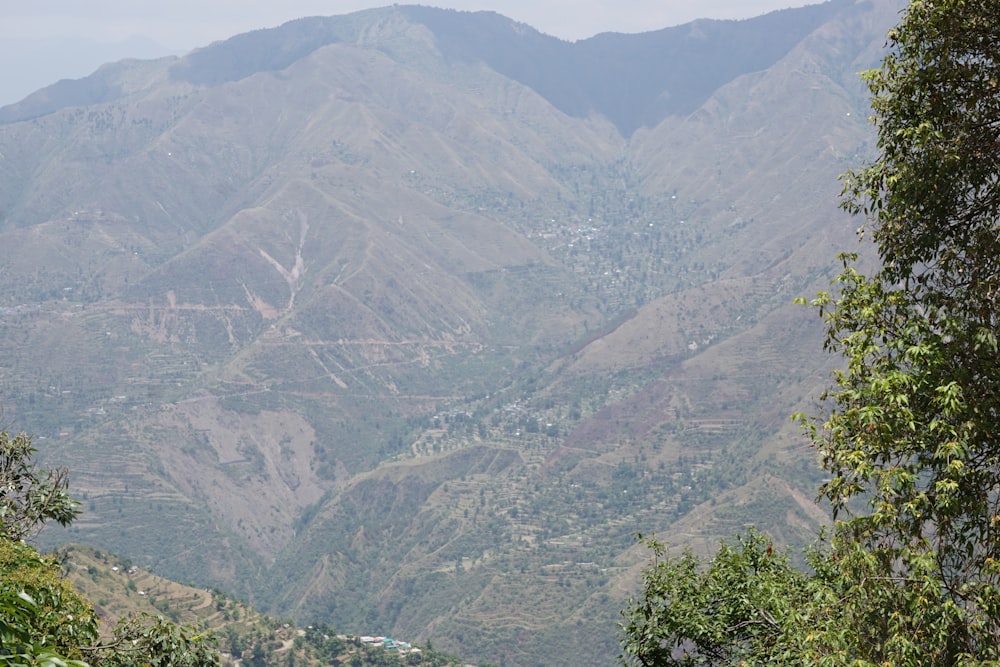 a valley with trees and mountains in the background