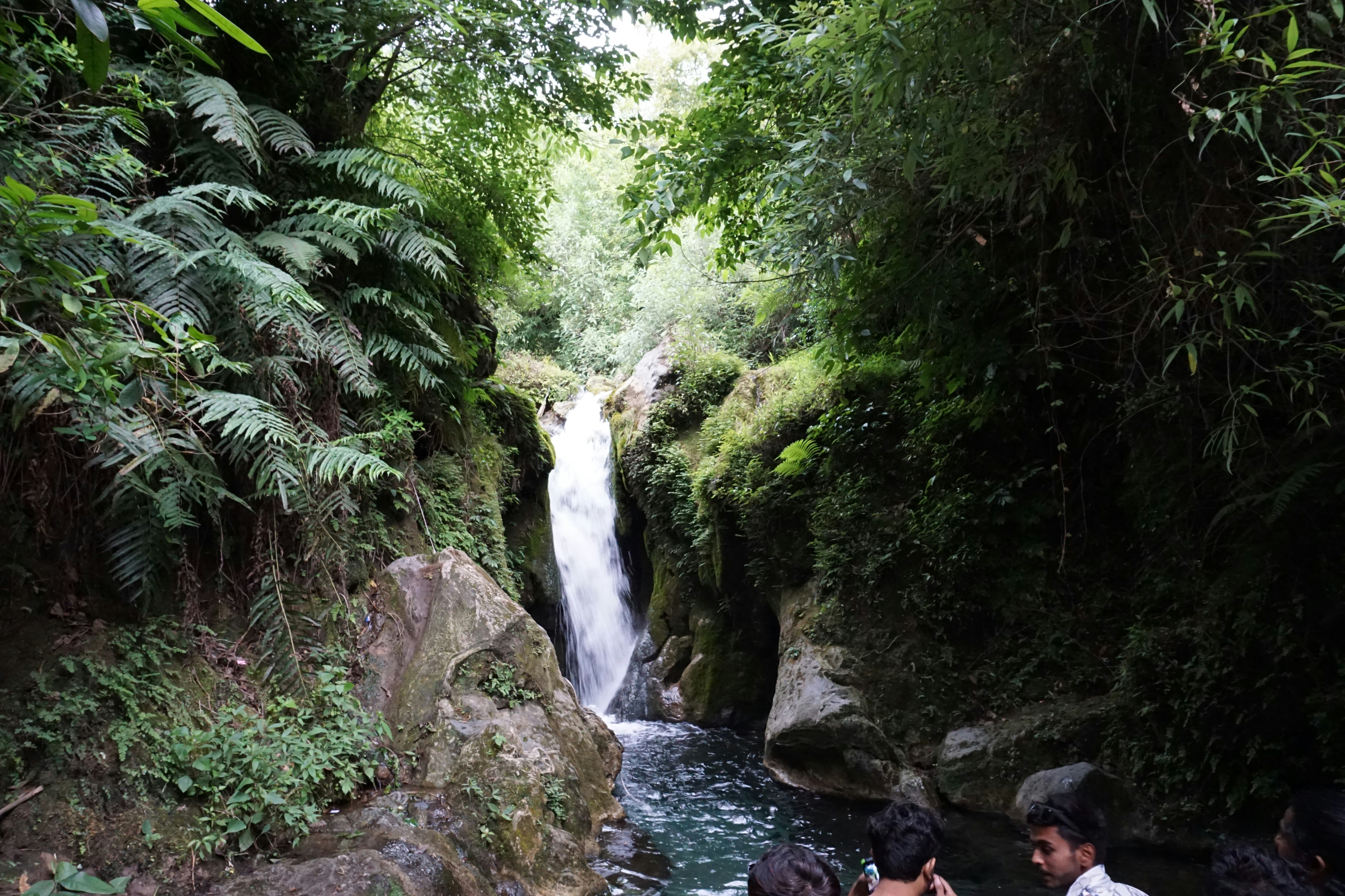 a waterfall in a forest