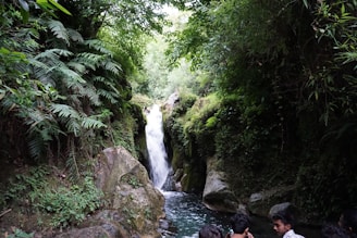 a waterfall in a forest