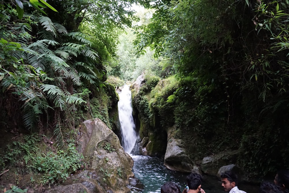 a waterfall in a forest