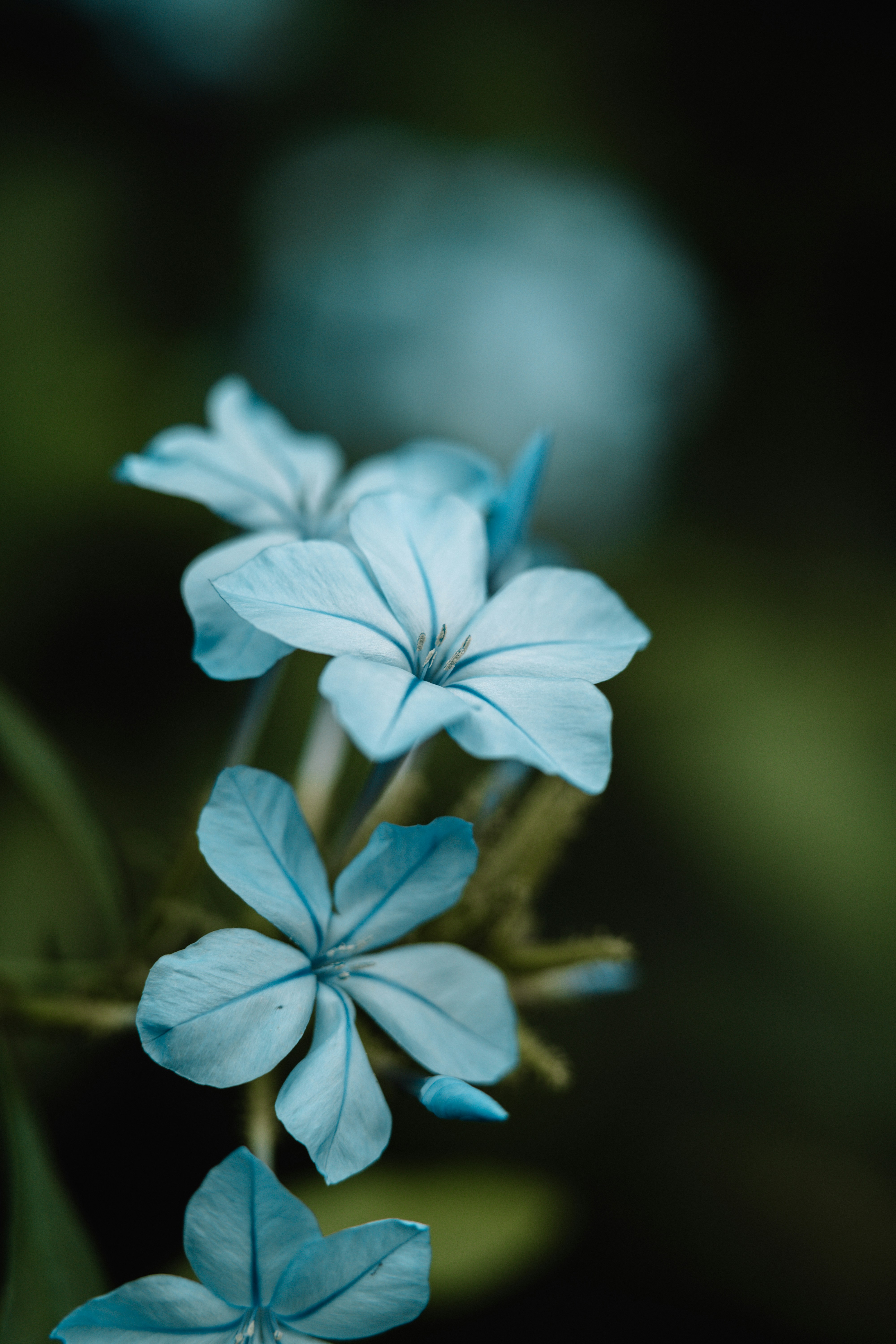 Photo by anamnesis33