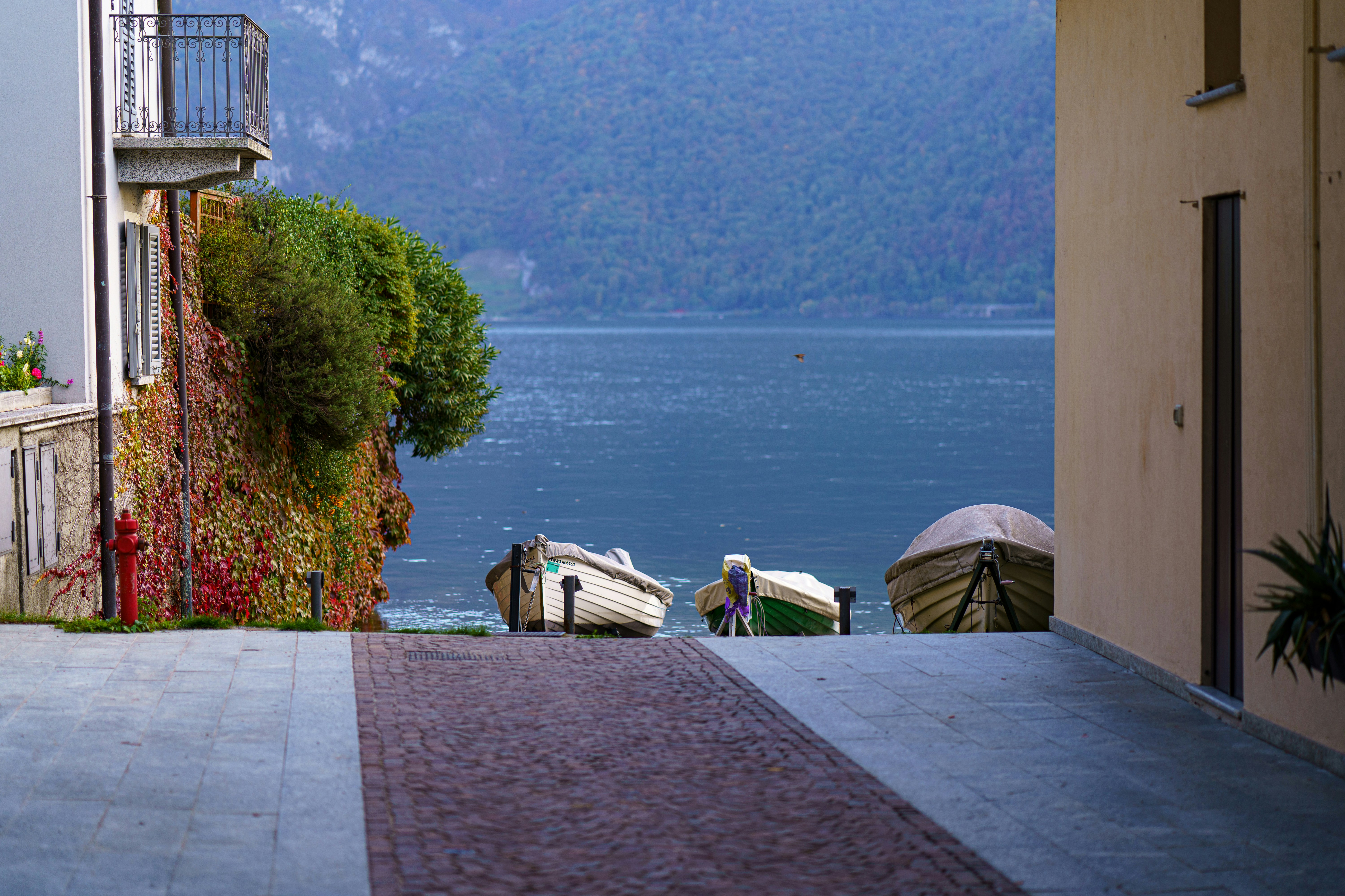 a couple of boats sit in a harbor