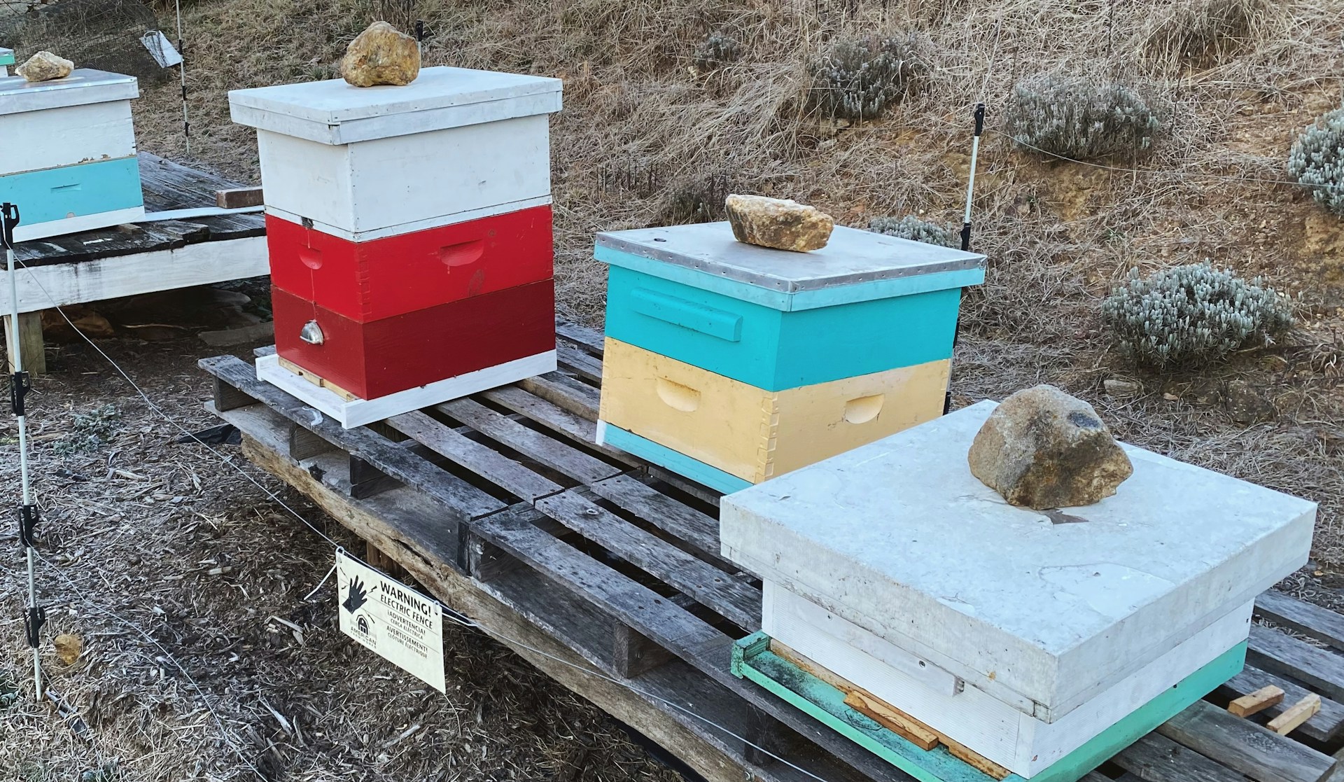 woman wearing yellow long-sleeved dress under white clouds and blue sky during daytime