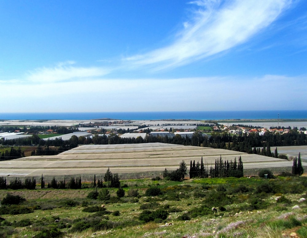 a landscape with a body of water in the background