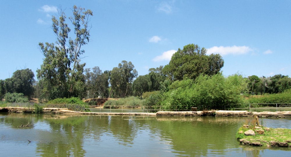 un cuerpo de agua con árboles y rocas a su alrededor