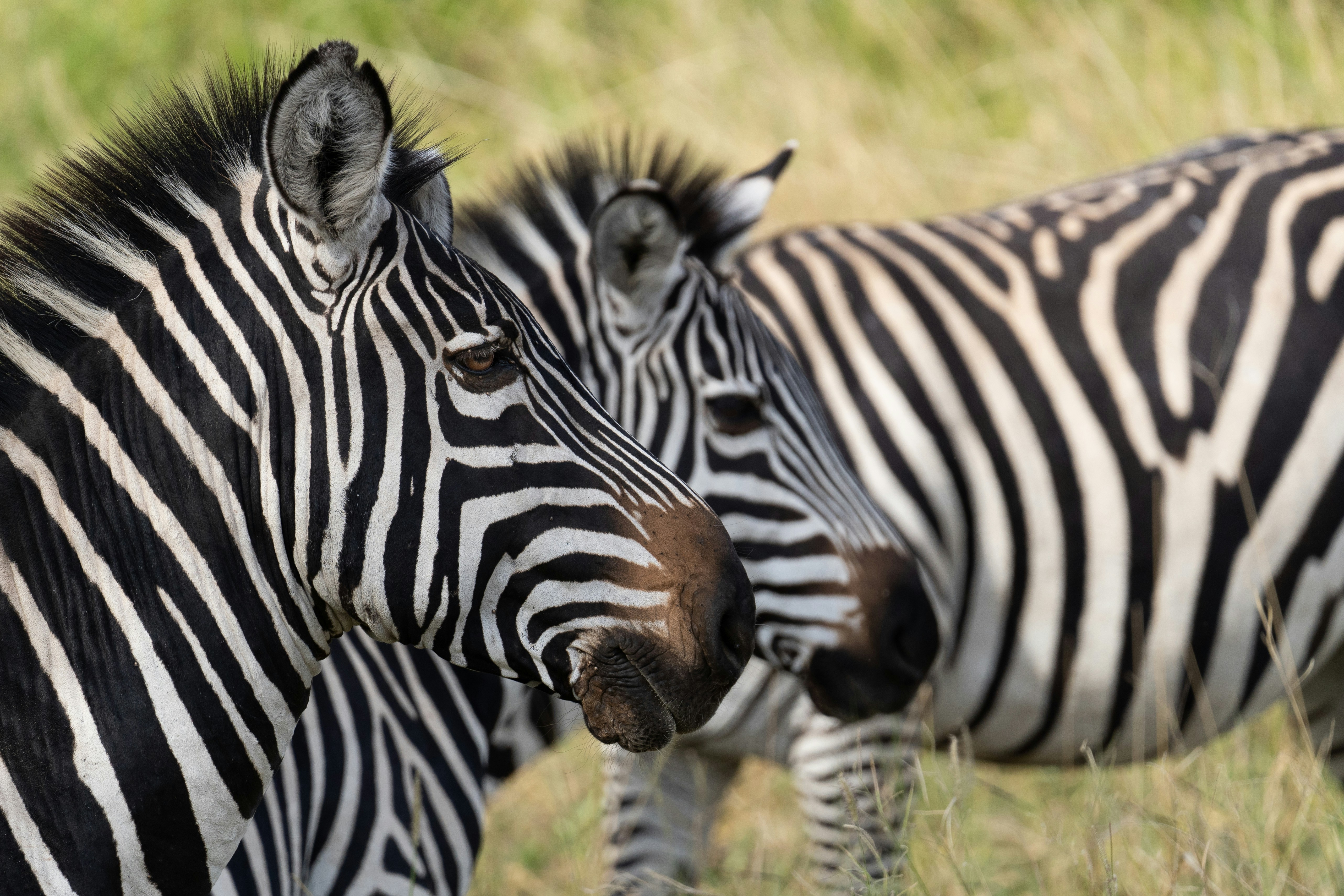 Photo by pawelwieladek