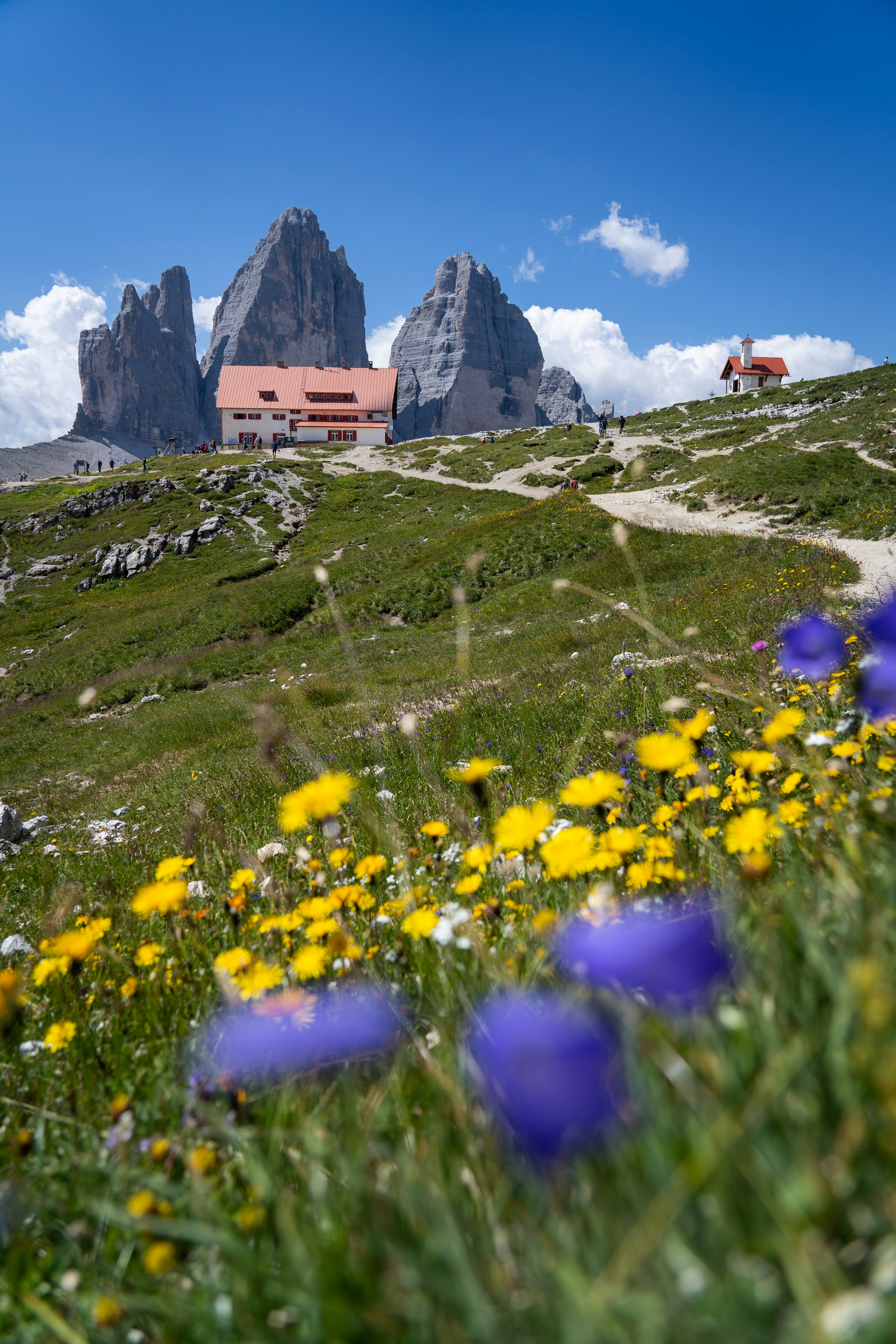 a building on a hill with flowers