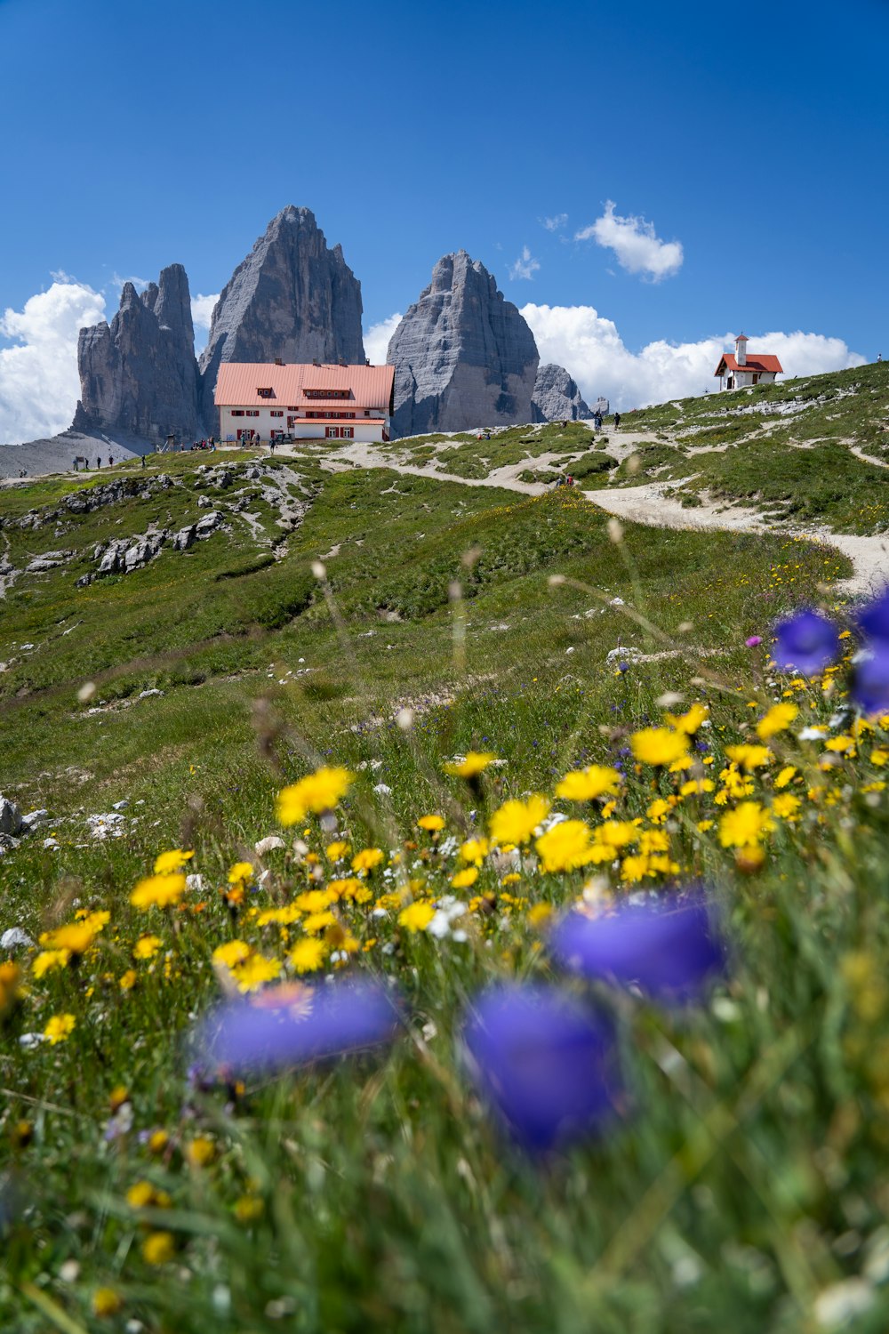 a building on a hill with flowers