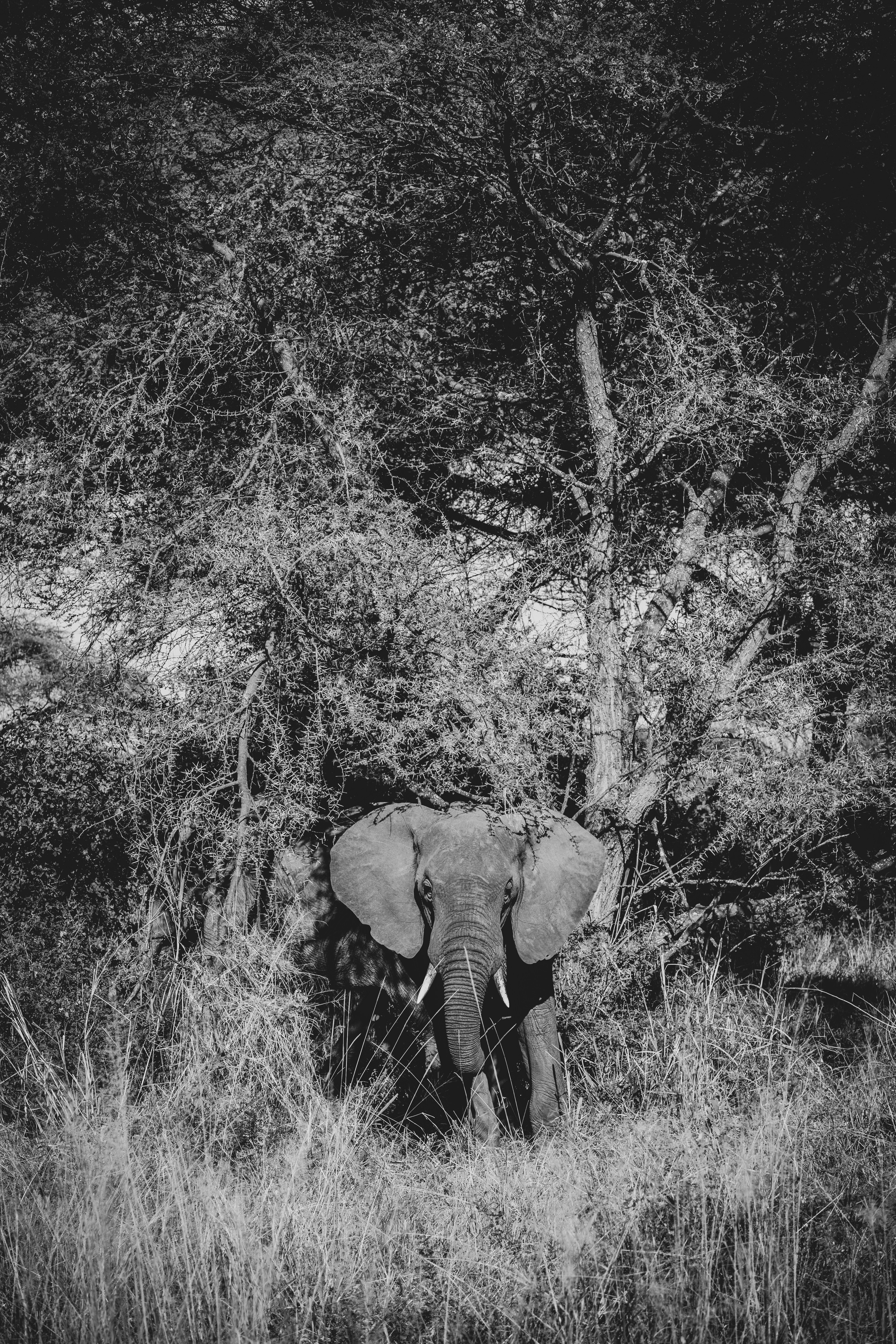 Photo by pawelwieladek