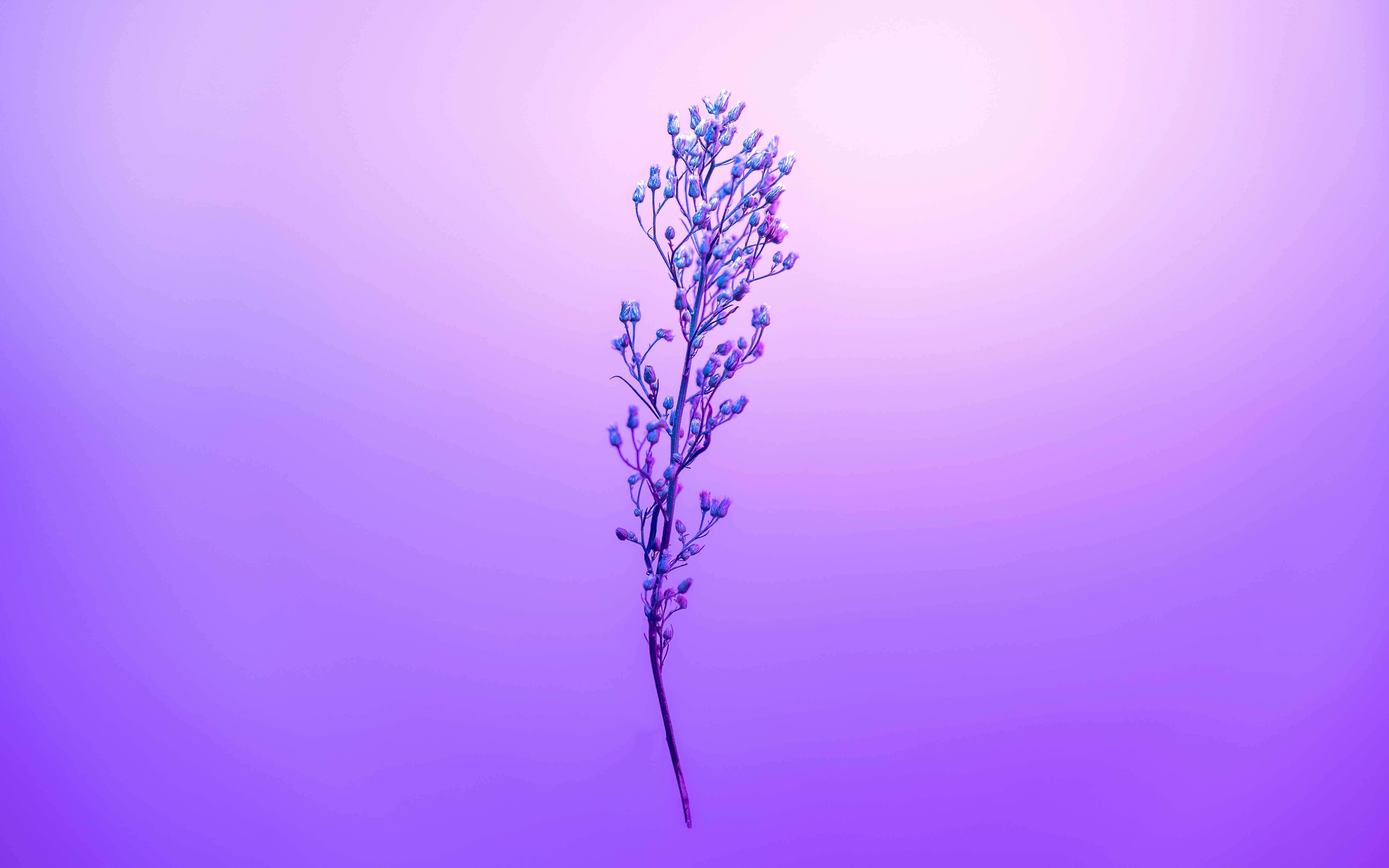 Photo by marekpiwnicki