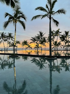 a pool with palm trees and a sunset