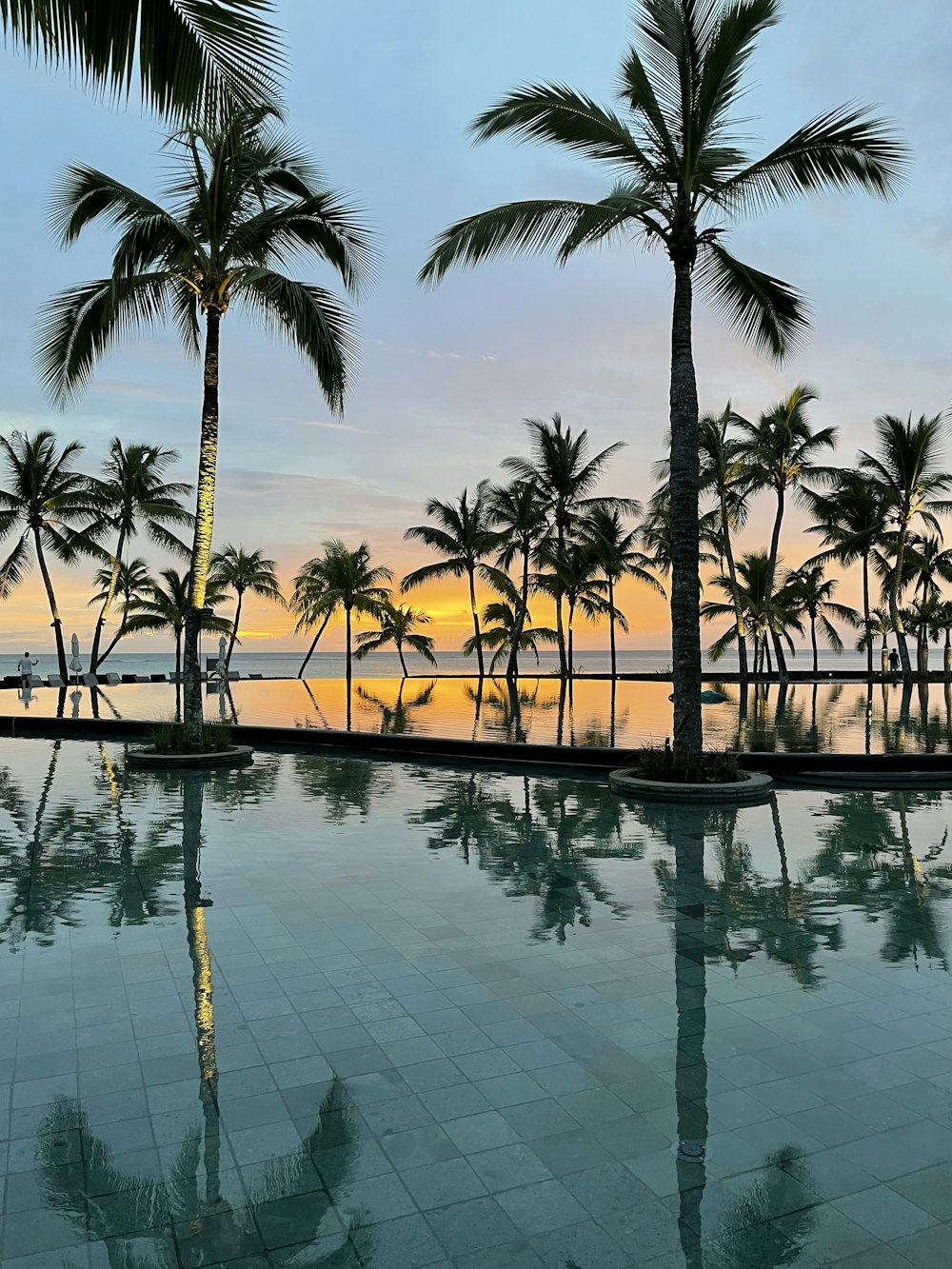 a pool with palm trees and a sunset