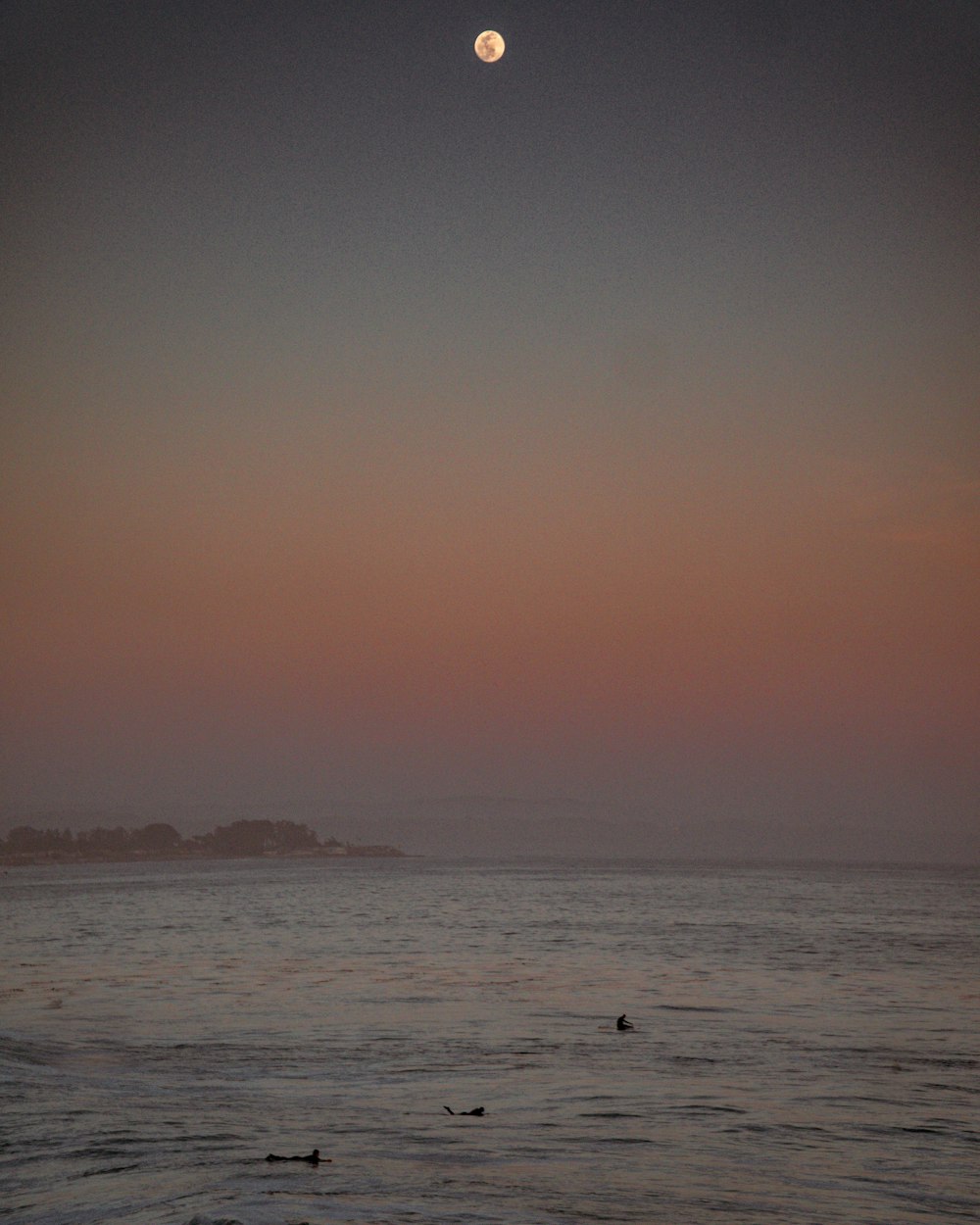 a body of water with a sunset