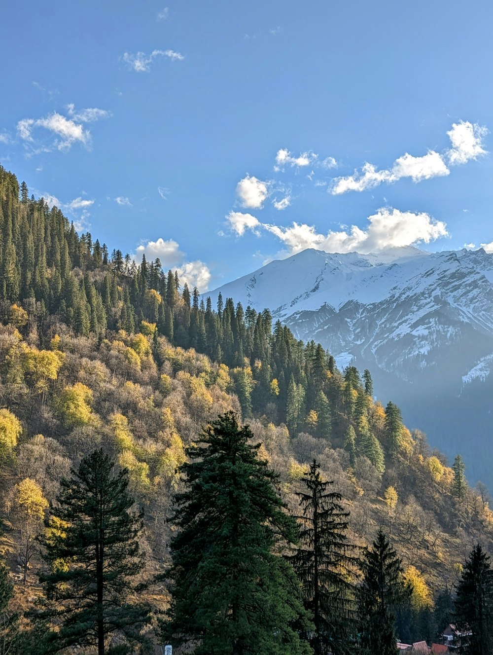 a landscape with trees and mountains