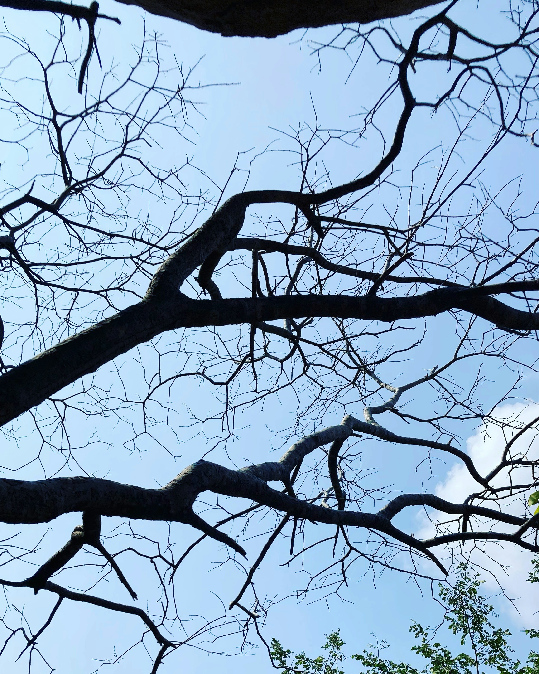 Photo by rahulsuryan