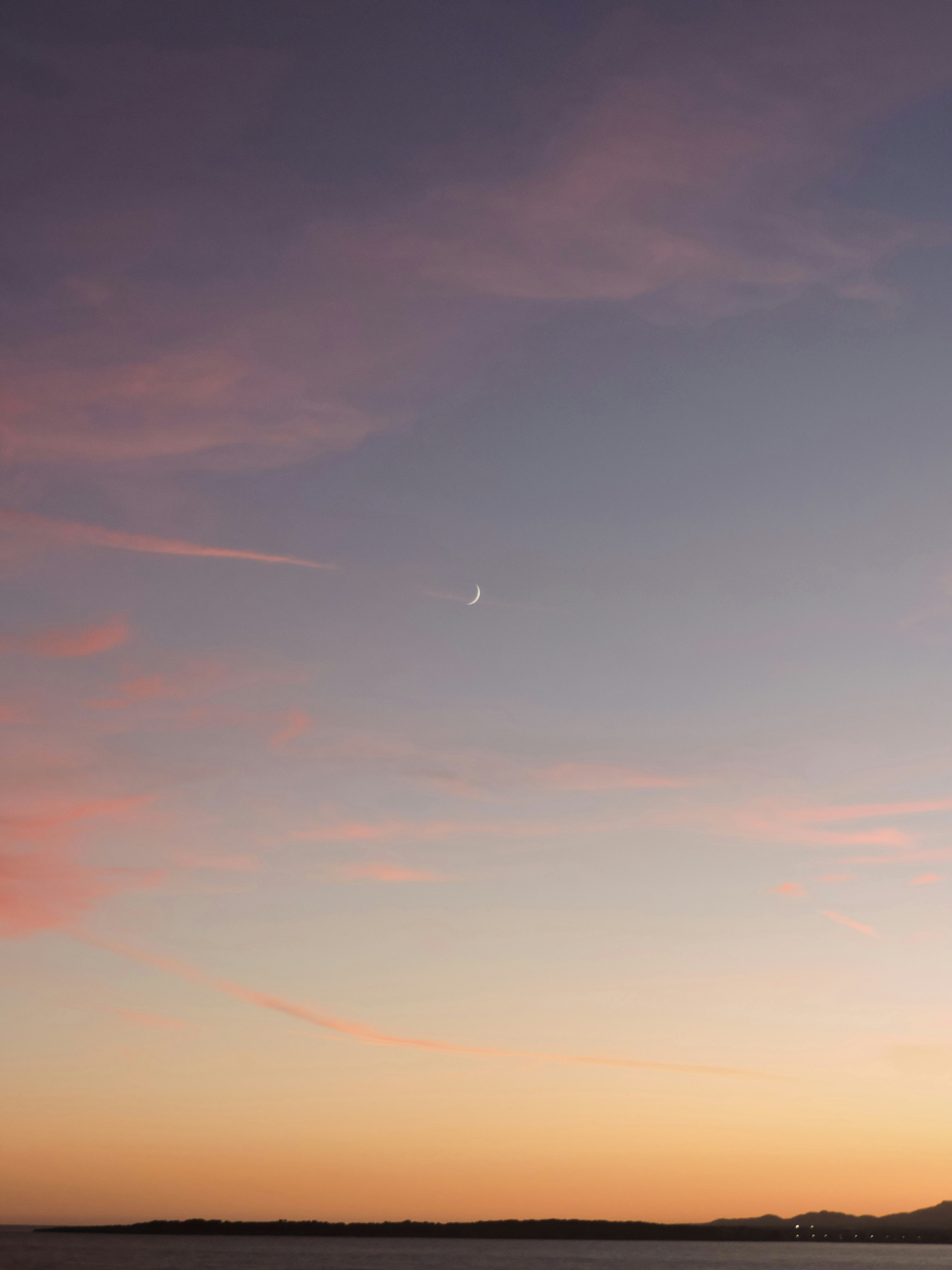 Photo by carlotta_dcb