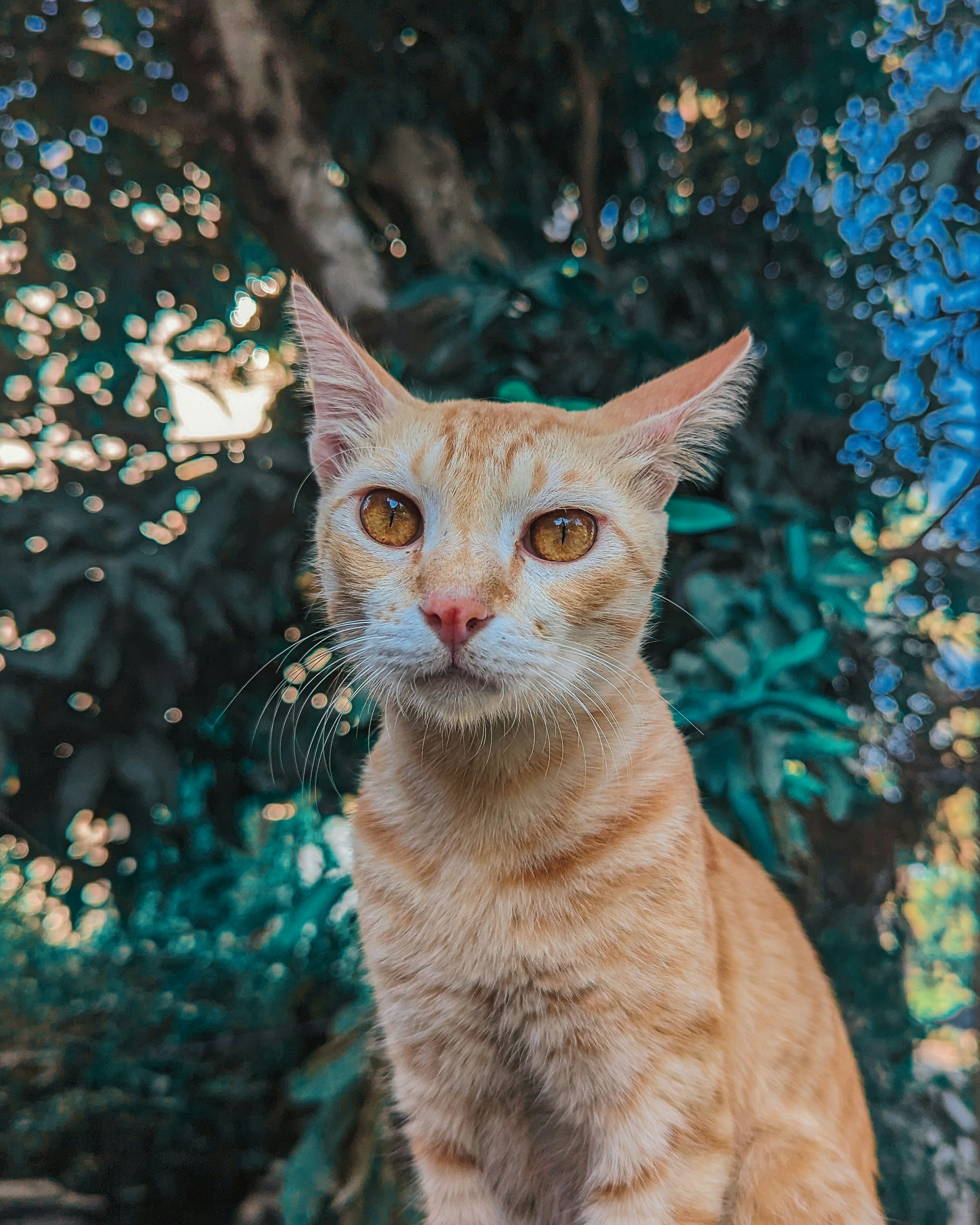 Photo by aarngiri