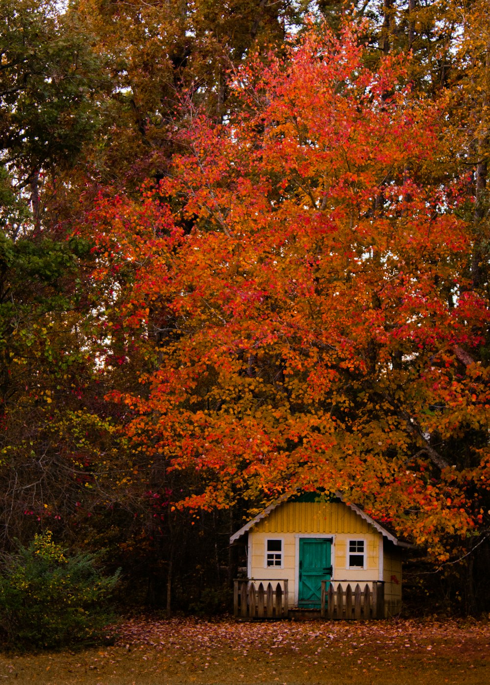 Una pequeña casa amarilla con un árbol en la parte posterior