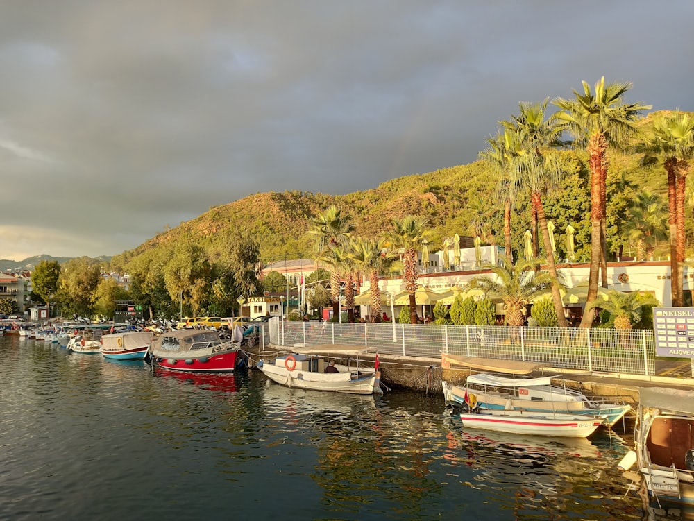 boats docked at a pier