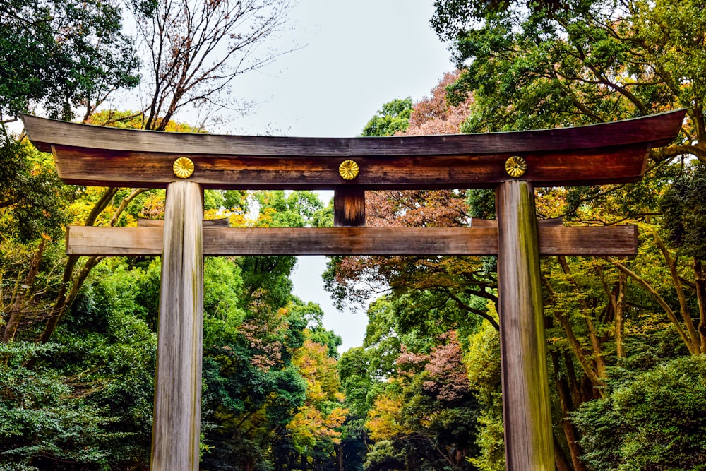 a wooden structure with trees in the back