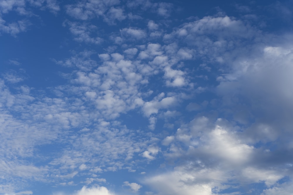 blue sky with white clouds