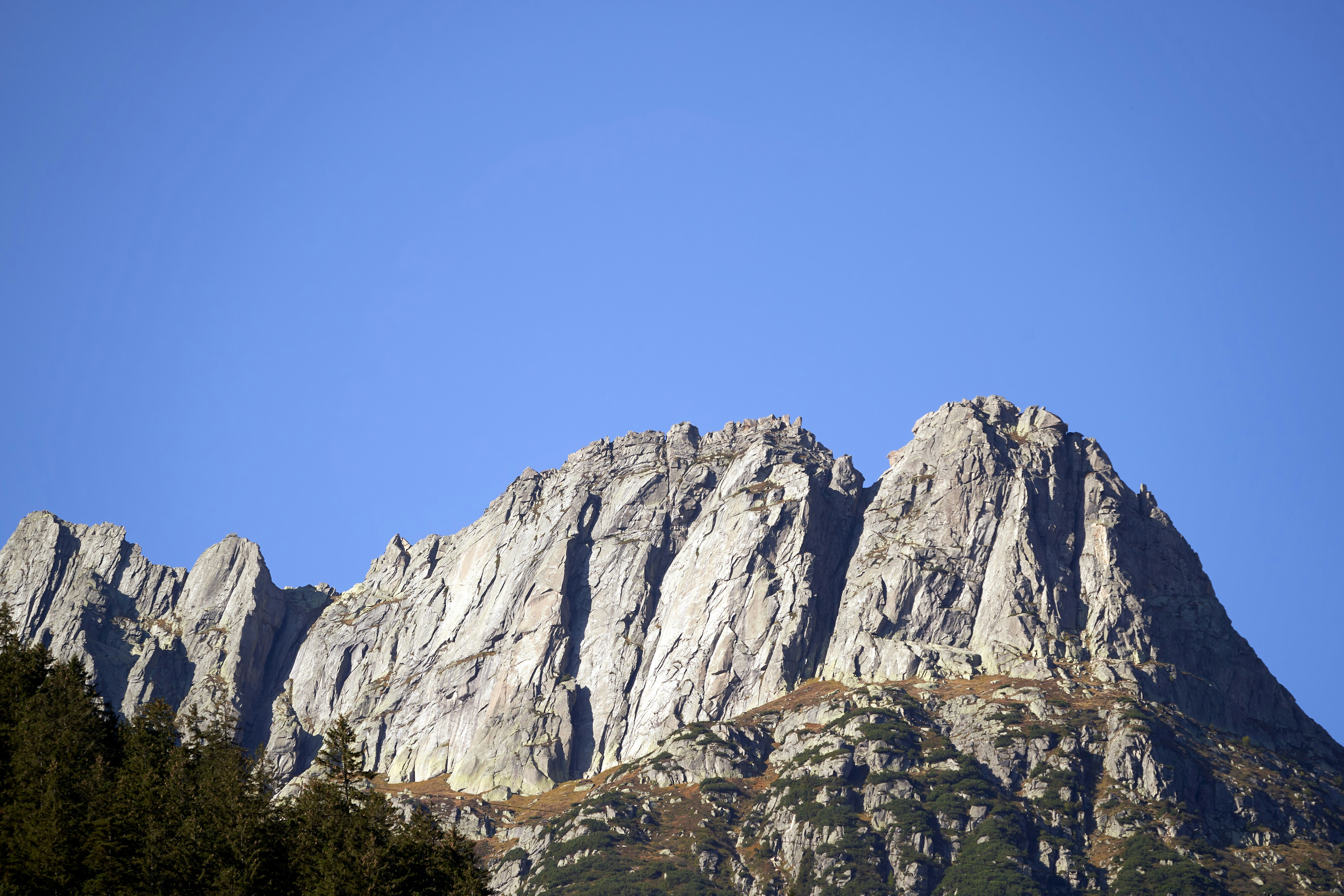 Photo by wolfgang_hasselmann