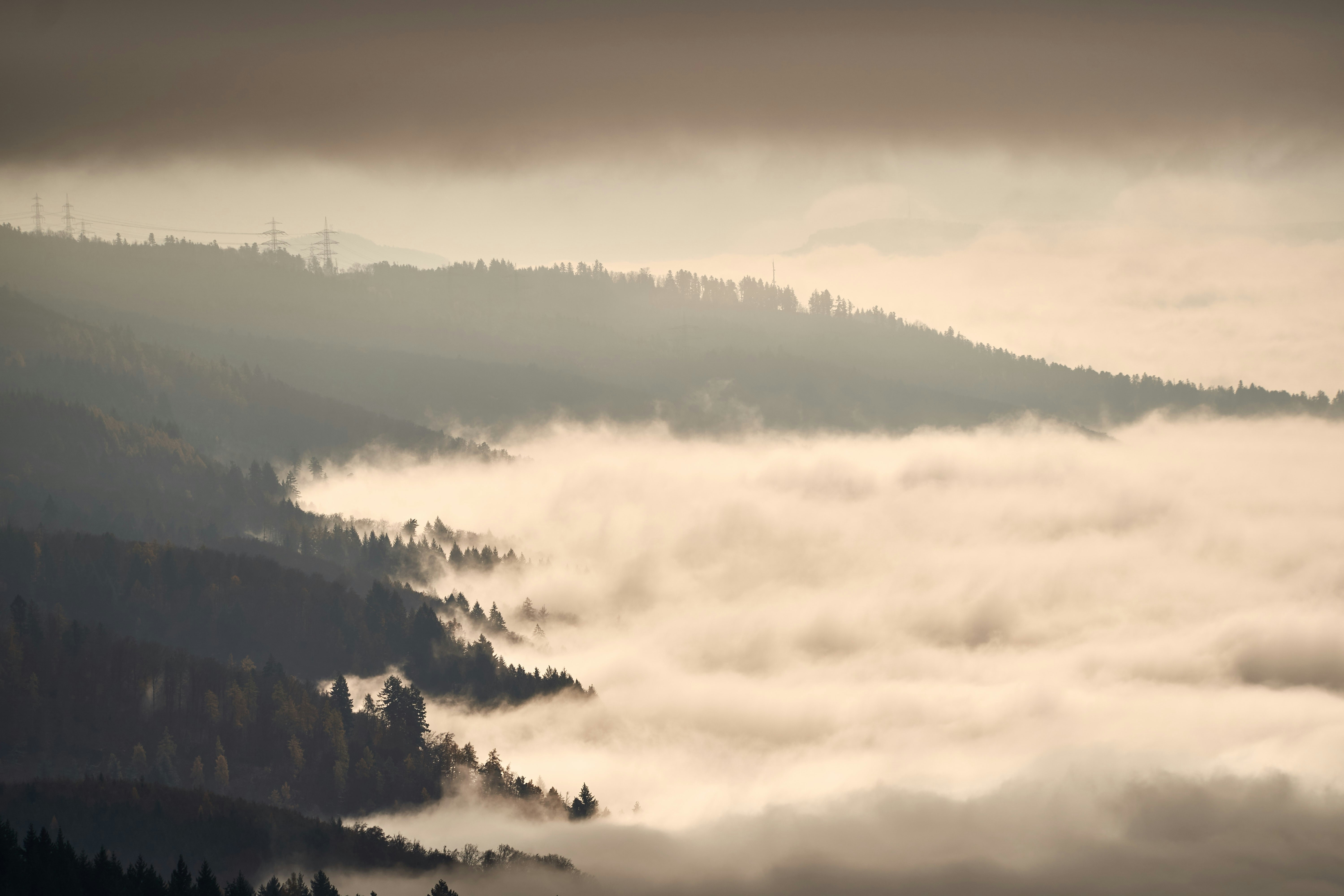 Photo by wolfgang_hasselmann