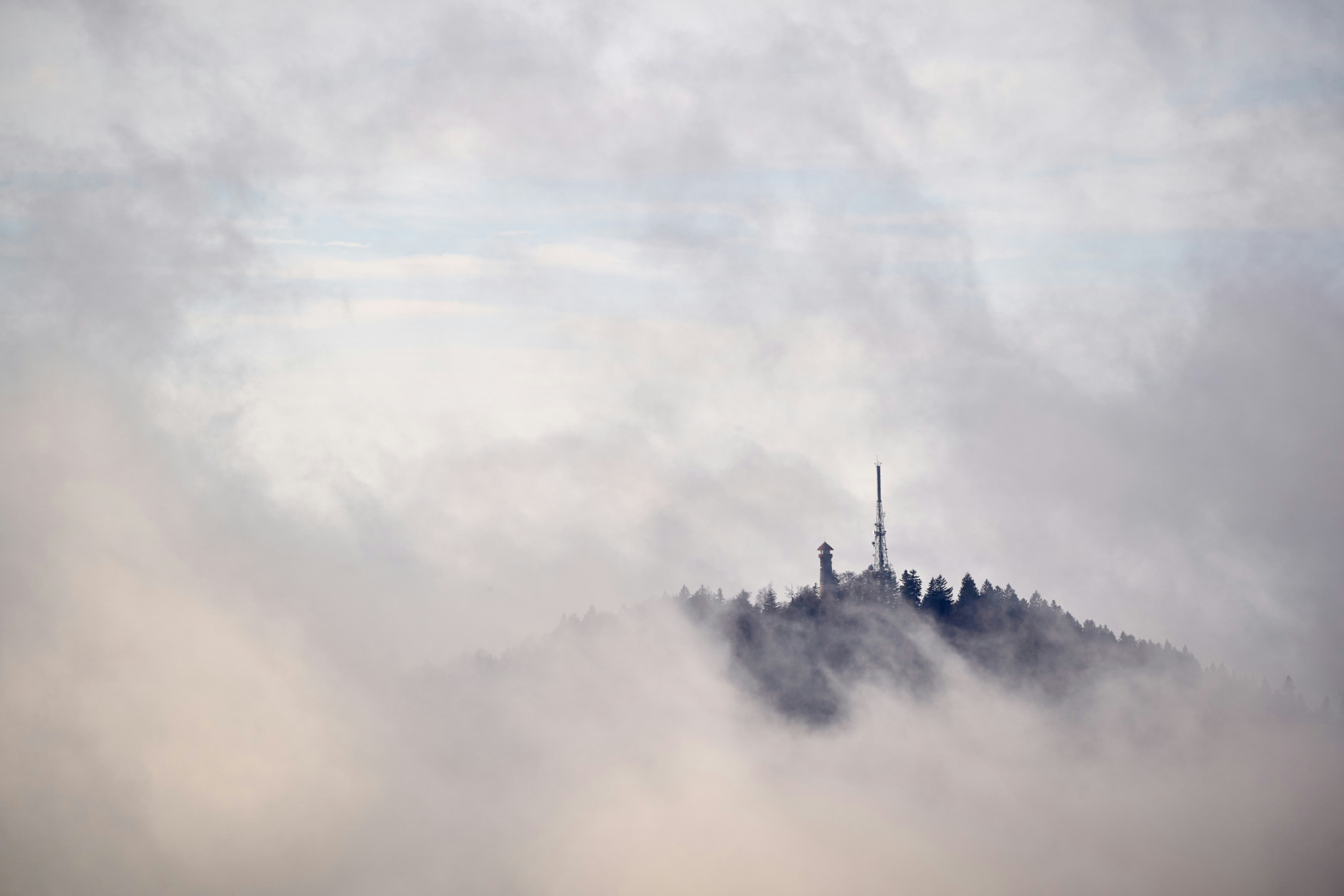 Photo by wolfgang_hasselmann