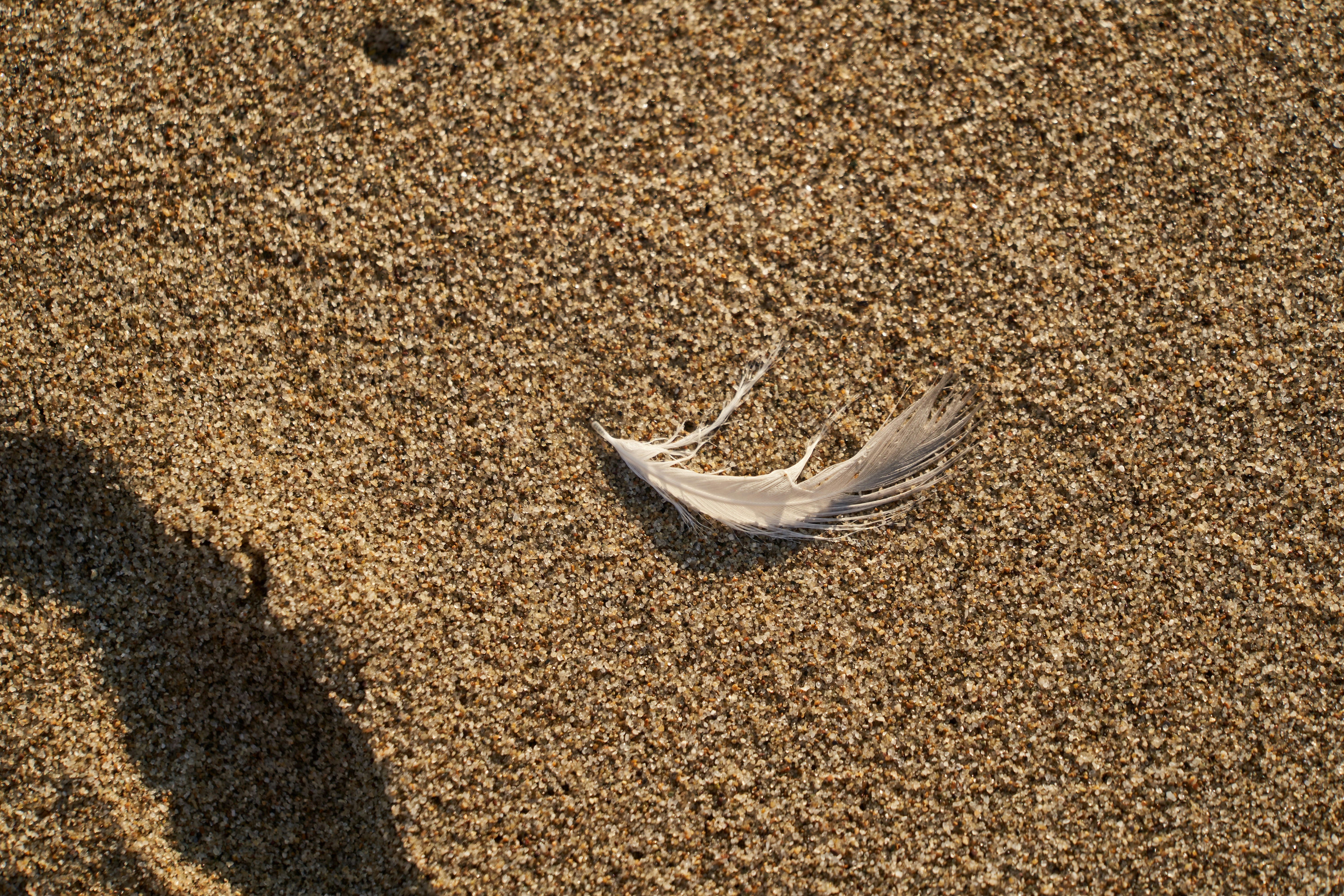 Photo by wolfgang_hasselmann