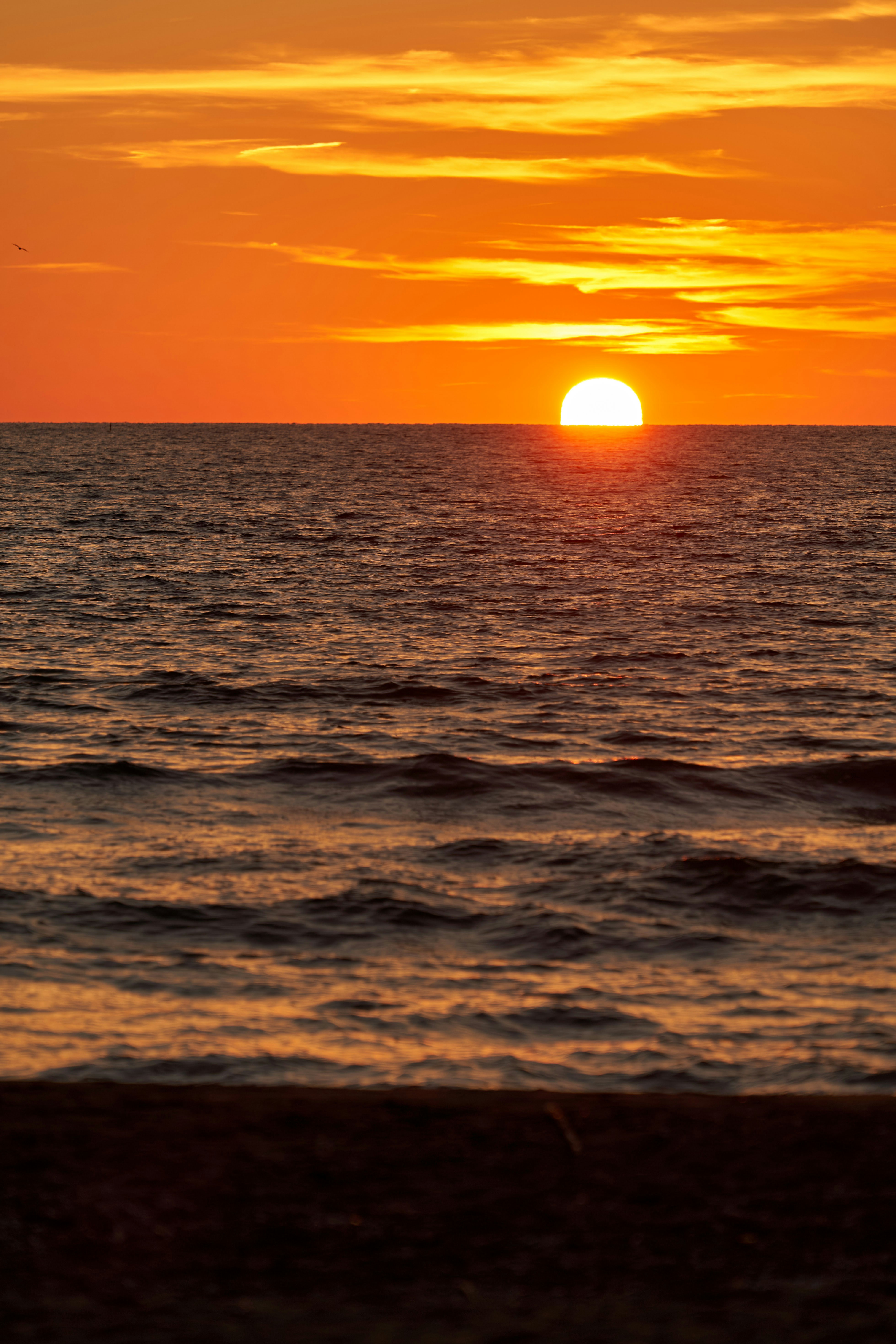 Photo by wolfgang_hasselmann