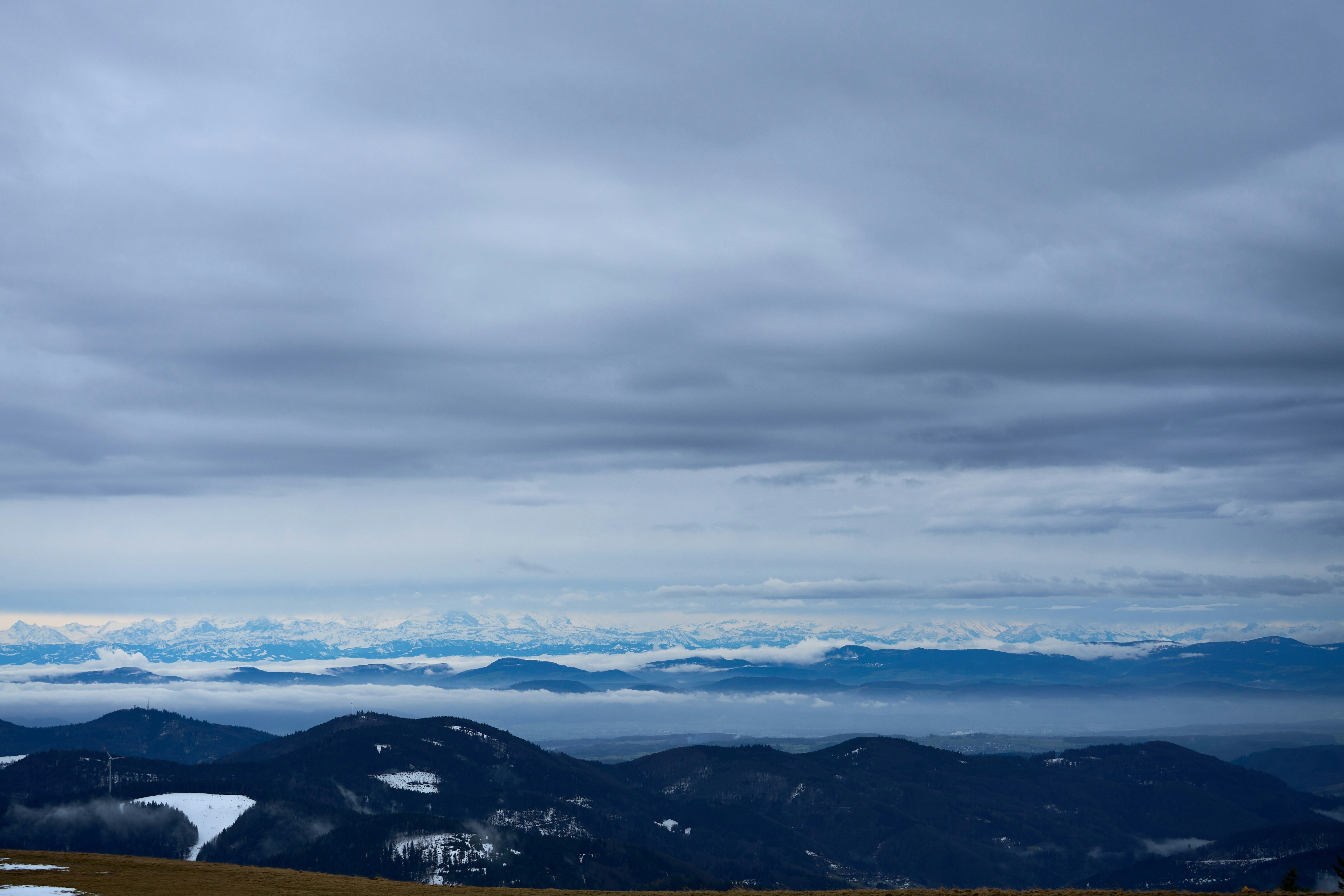 Photo by wolfgang_hasselmann