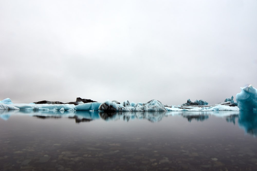 icebergs in the water