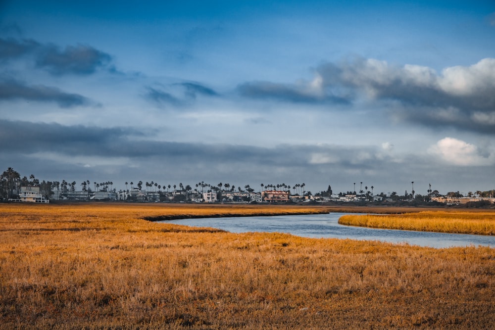 a body of water with a city in the background