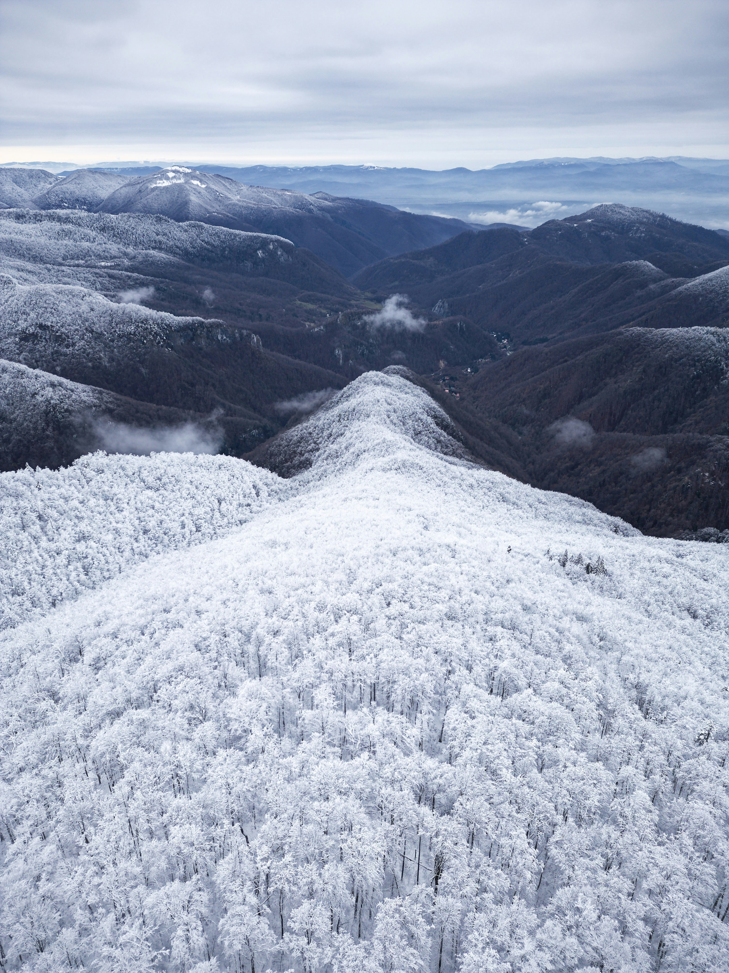 Photo by illes_cristi