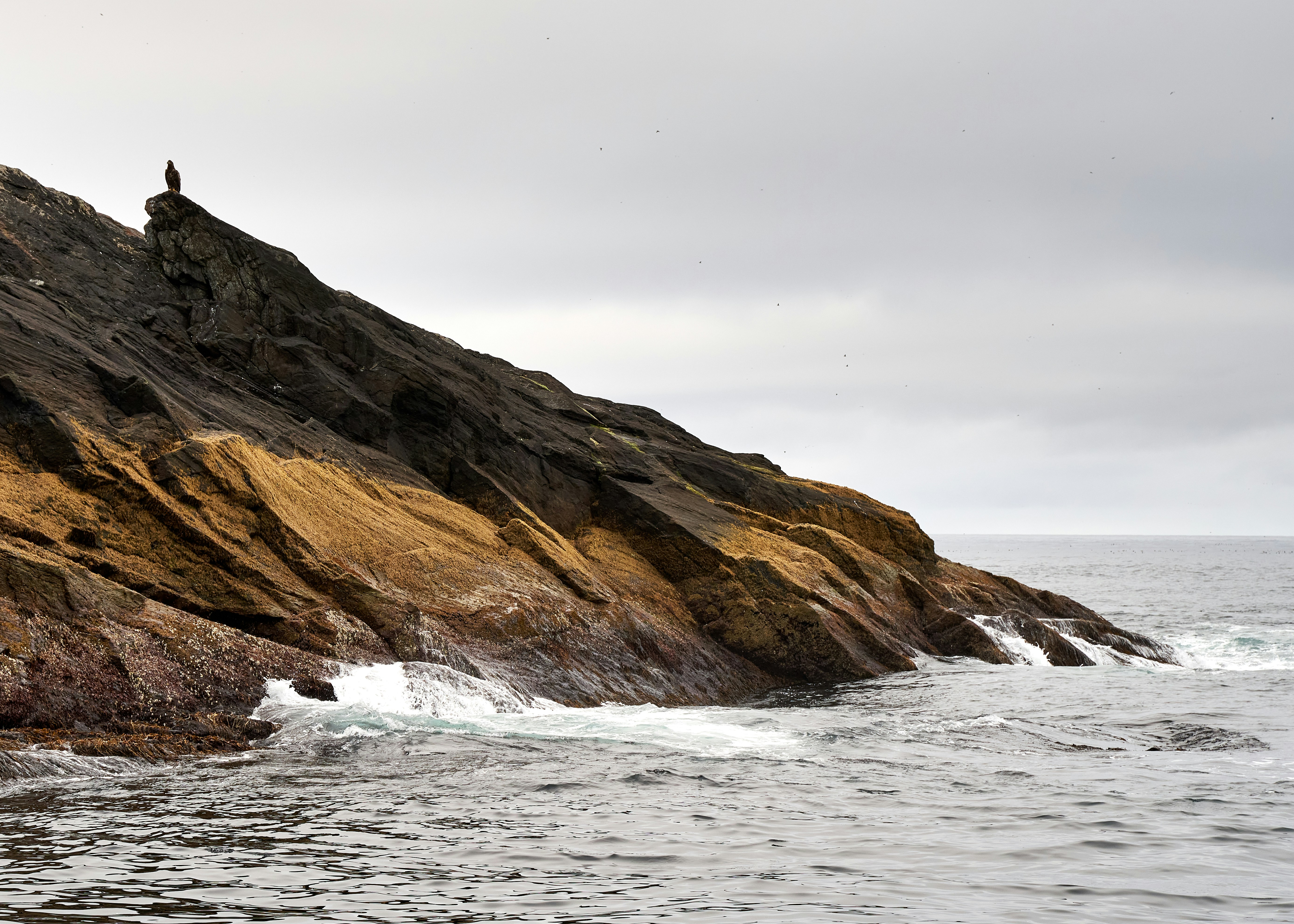 Photo by davotibarna