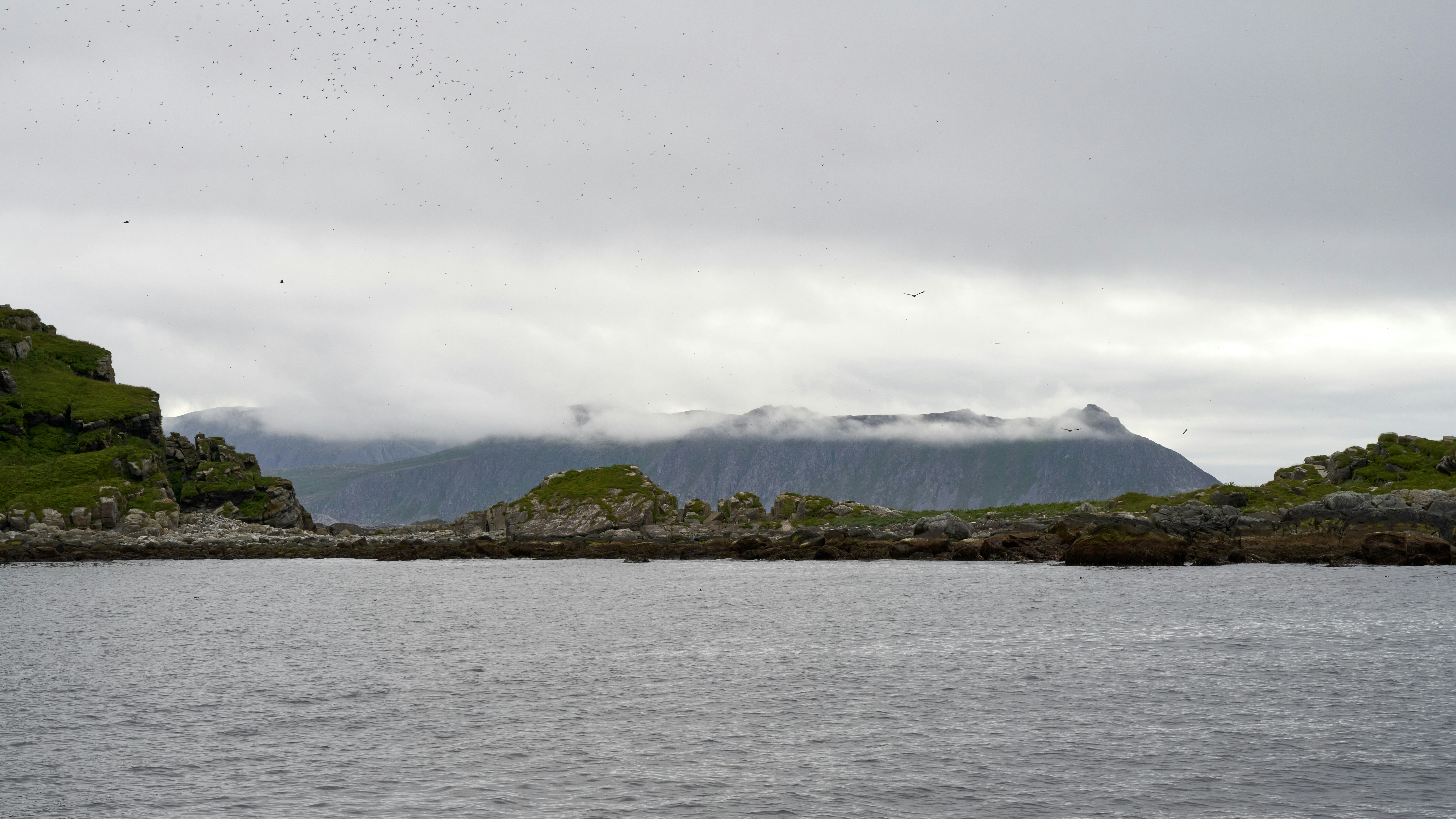 Photo by davotibarna