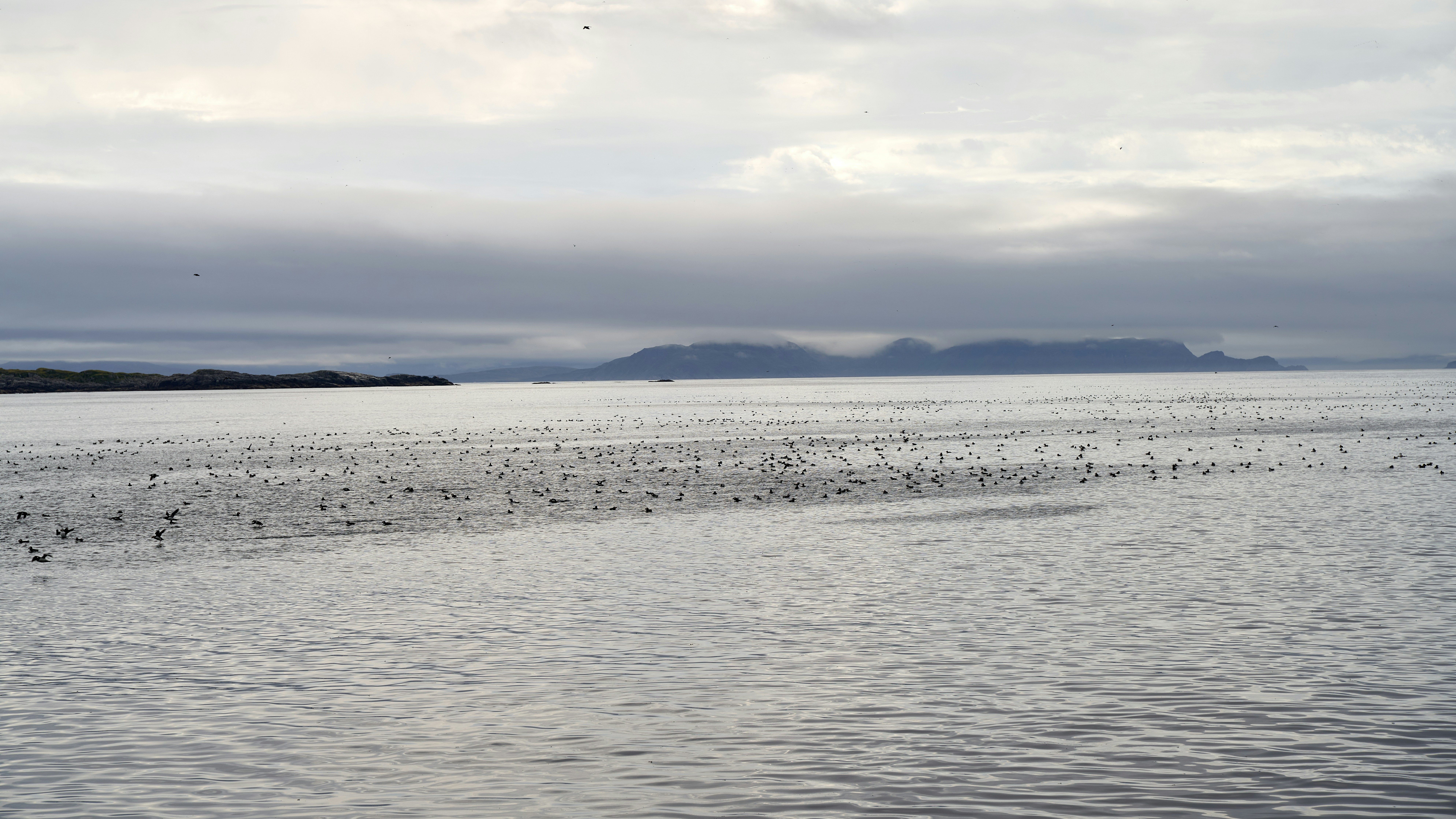 Photo by davotibarna