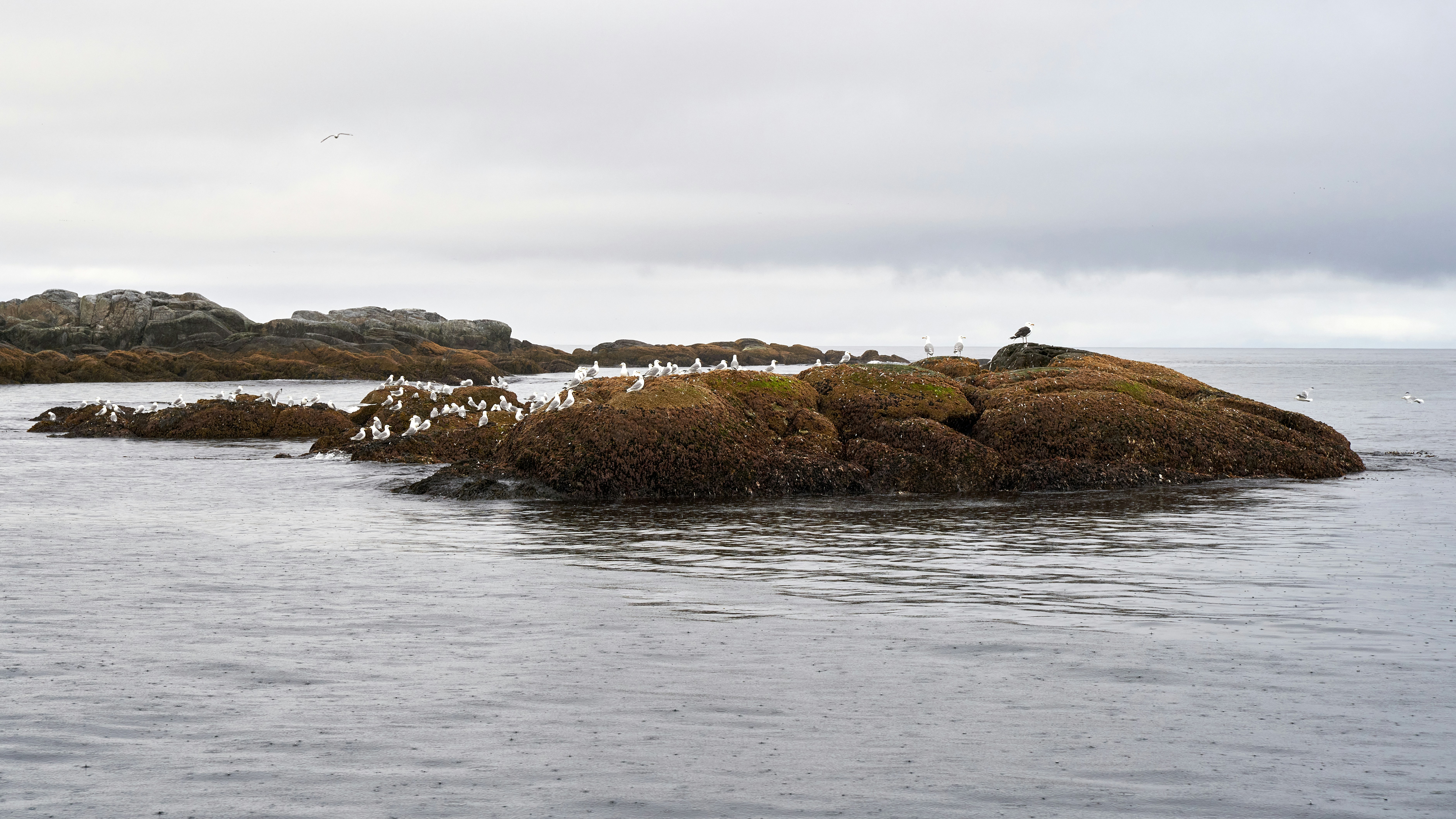 Photo by davotibarna