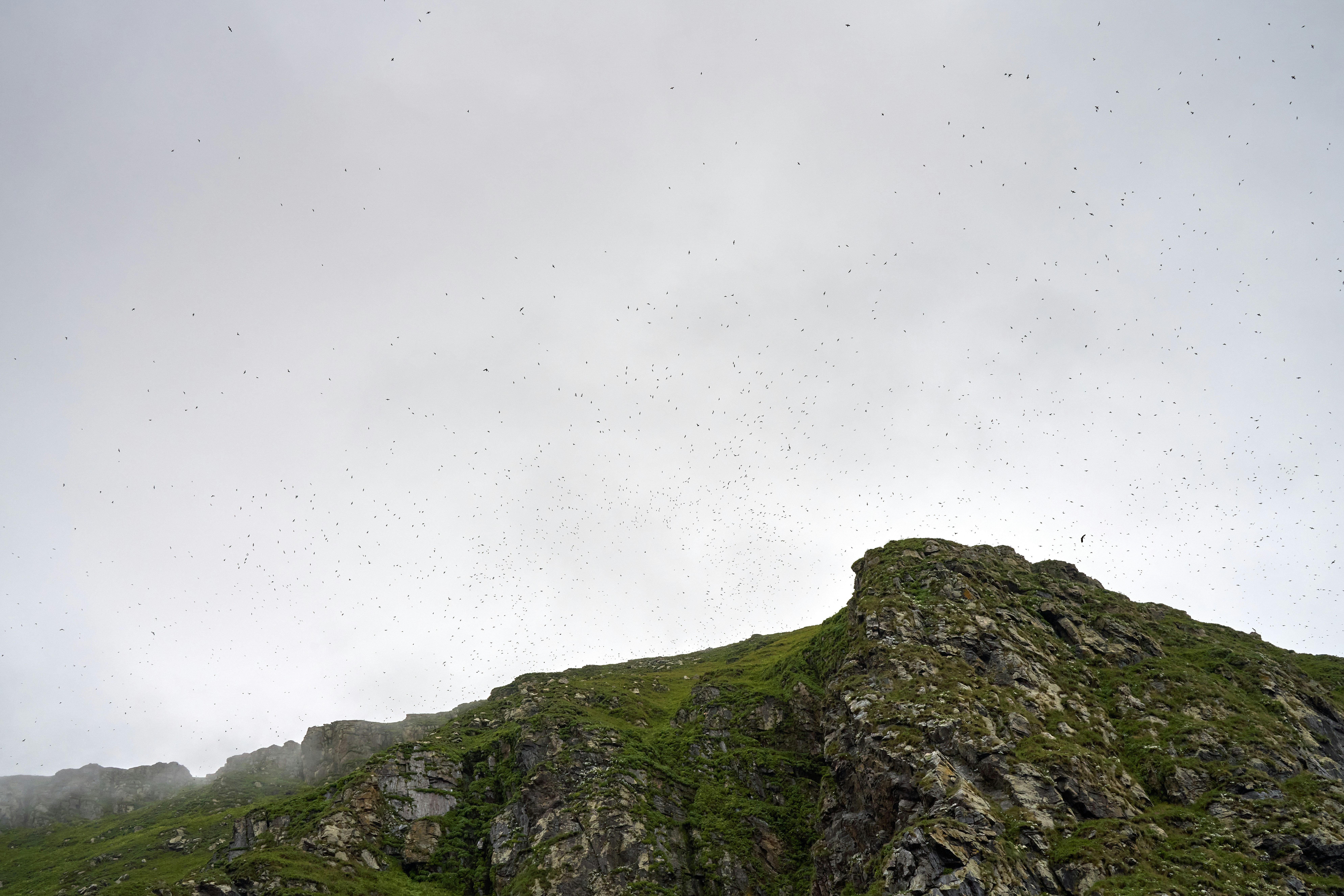 Photo by davotibarna