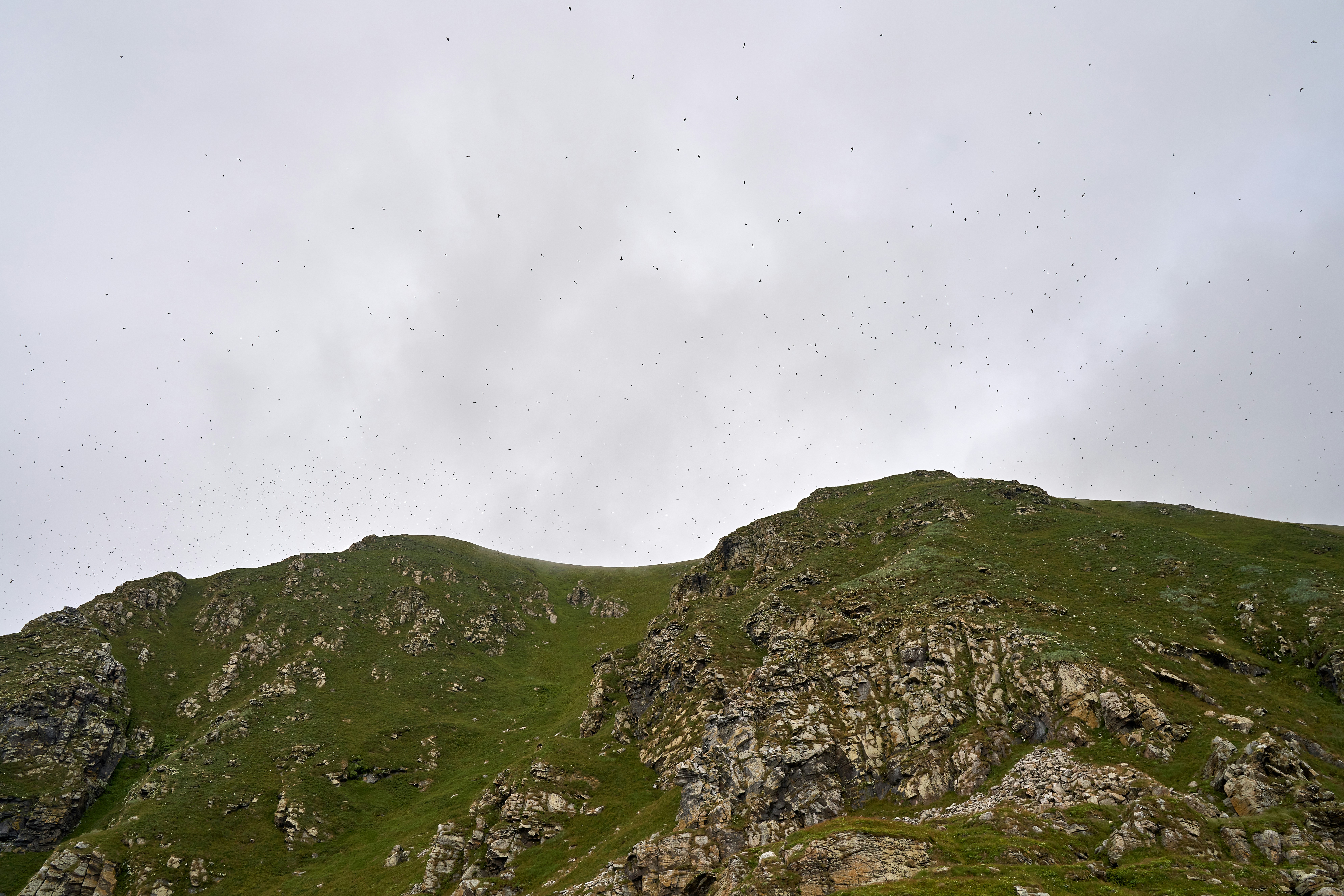 Photo by davotibarna