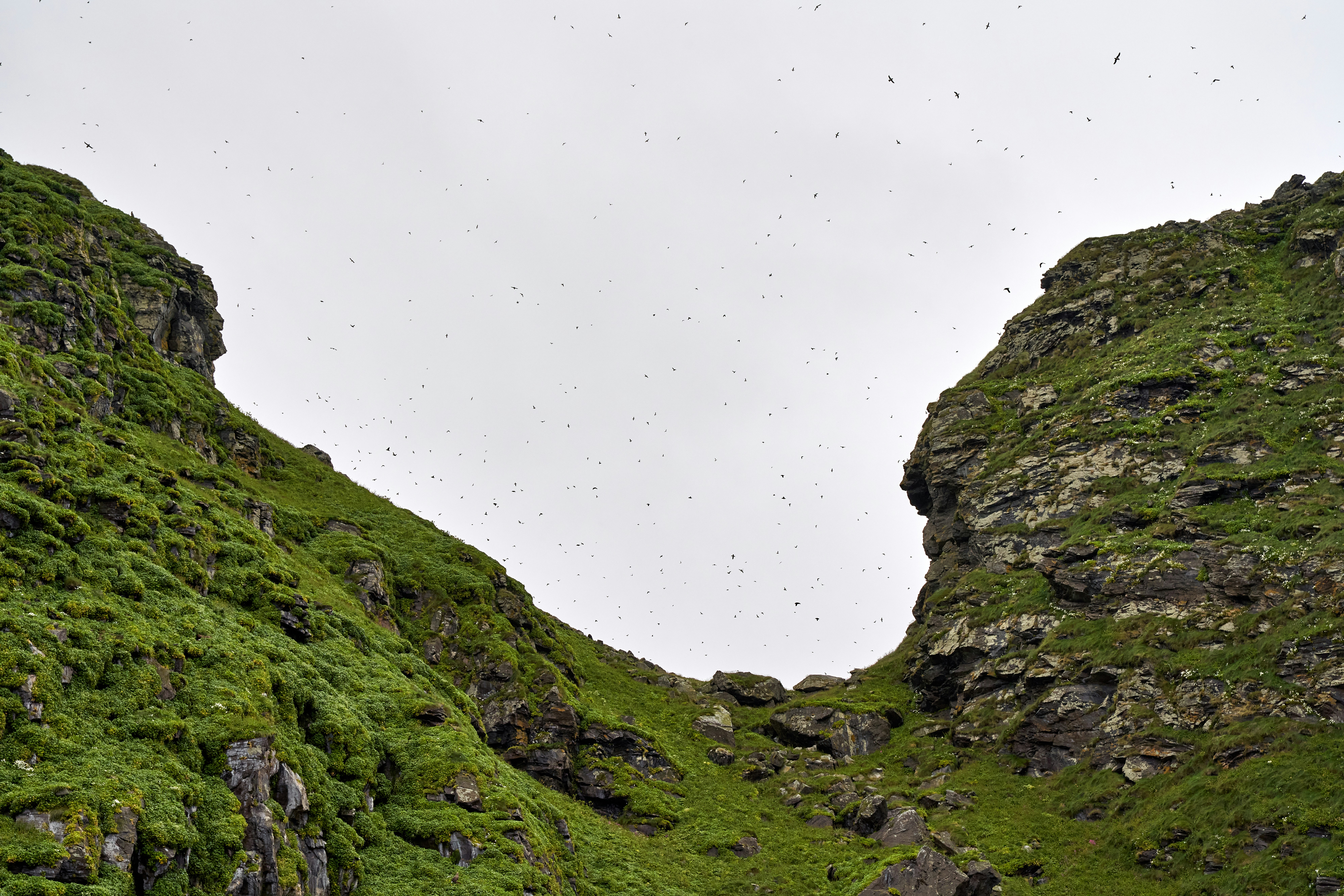 Photo by davotibarna