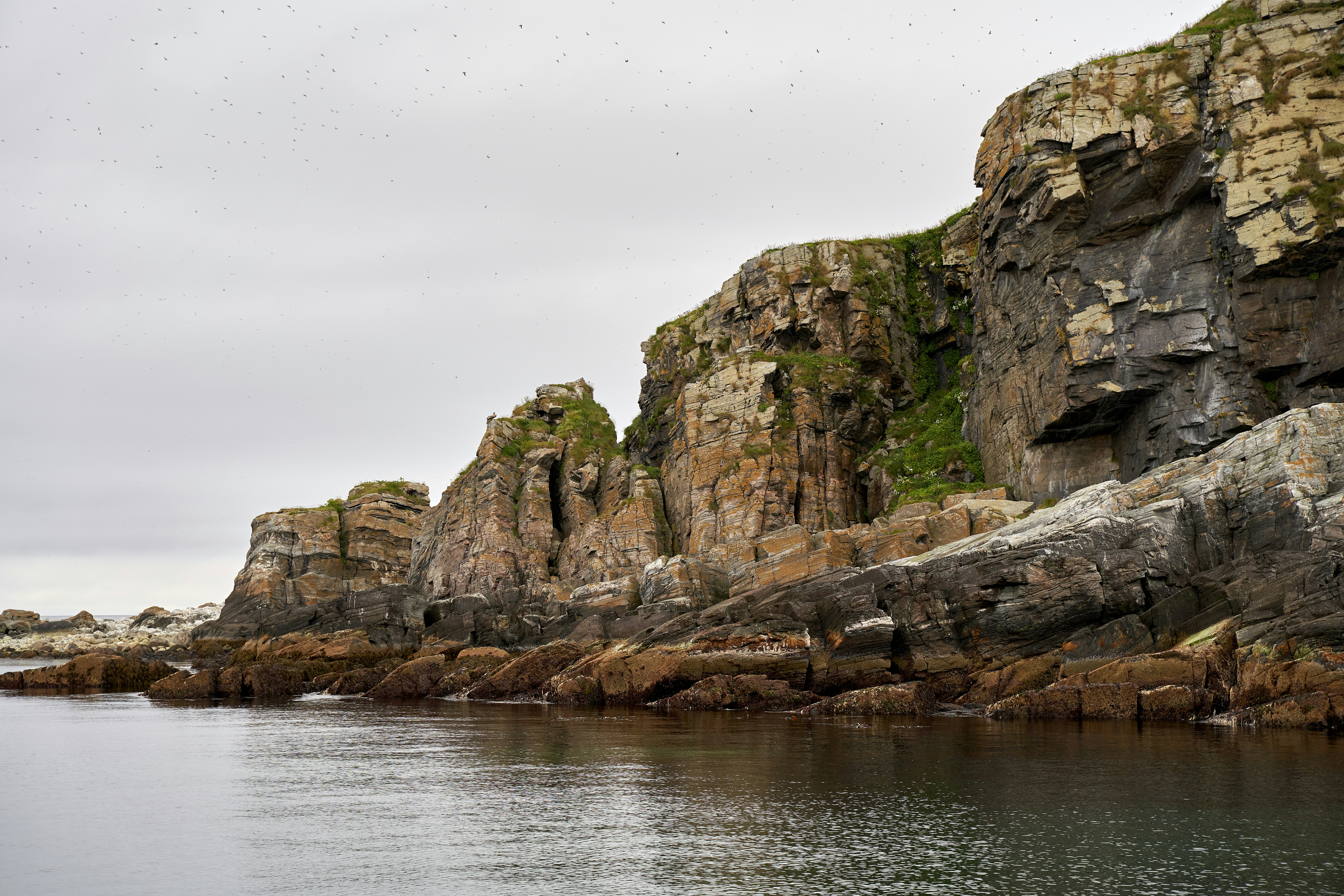 Photo by davotibarna