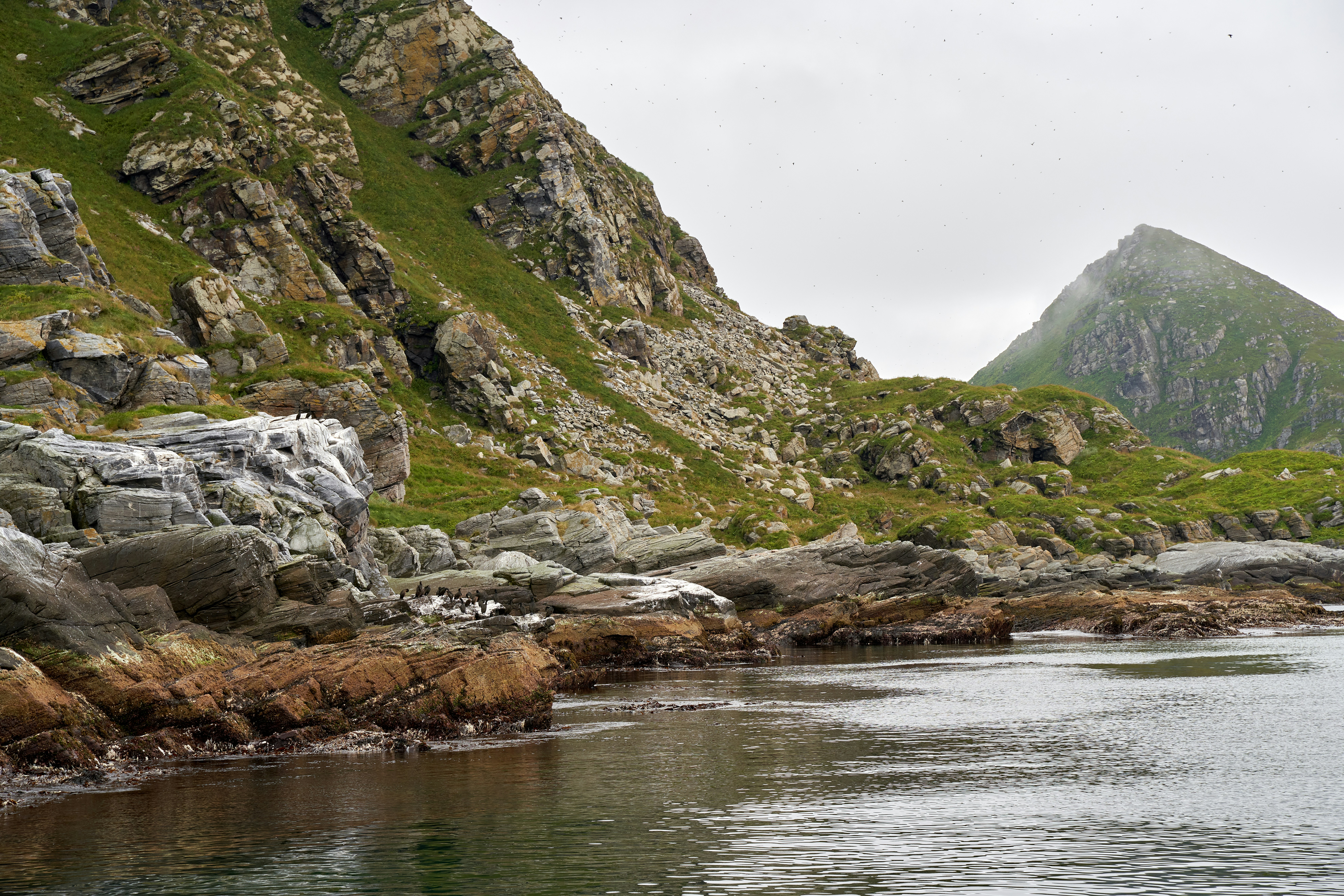 Photo by davotibarna